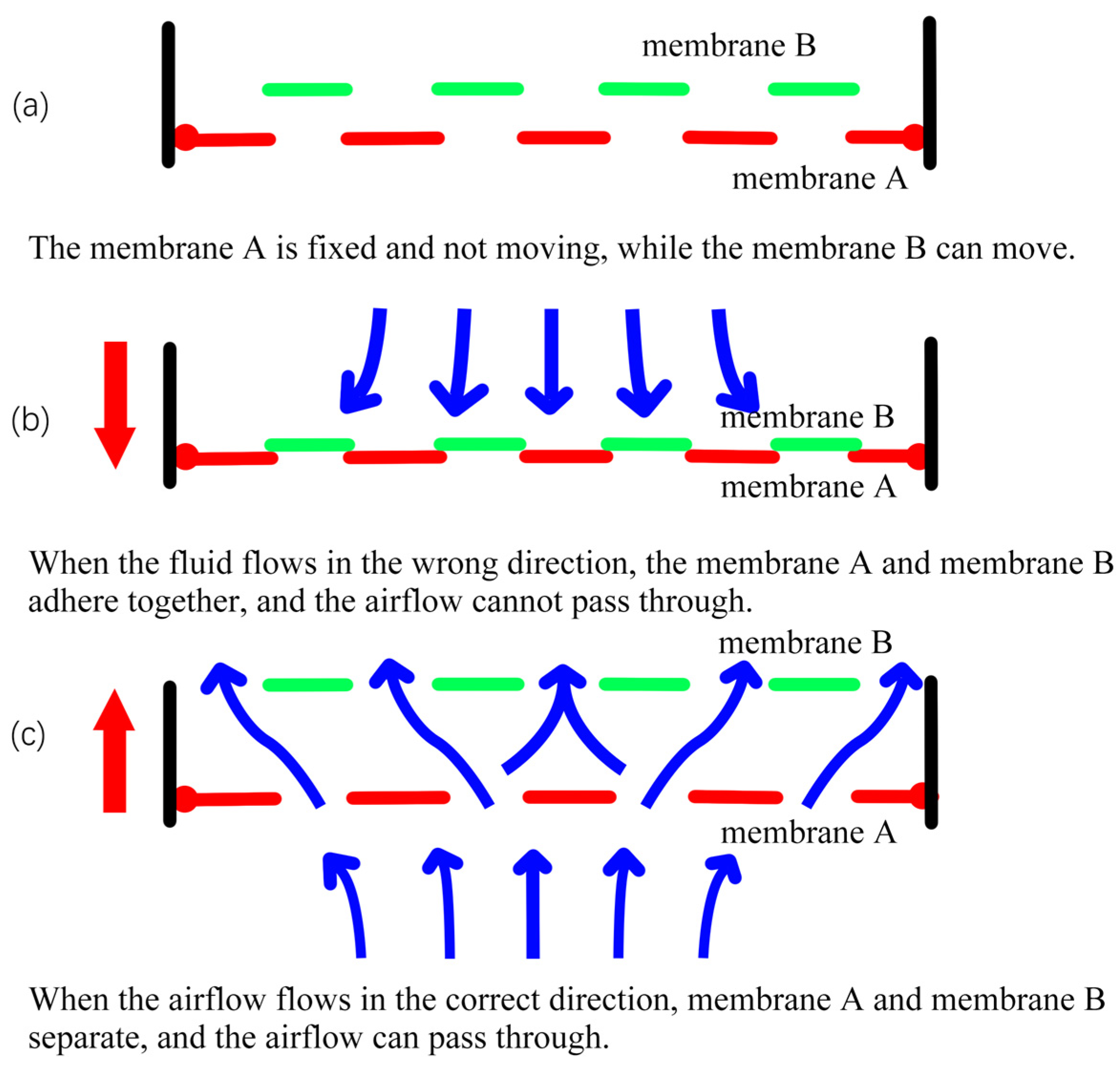 Applsci 14 05971 g010