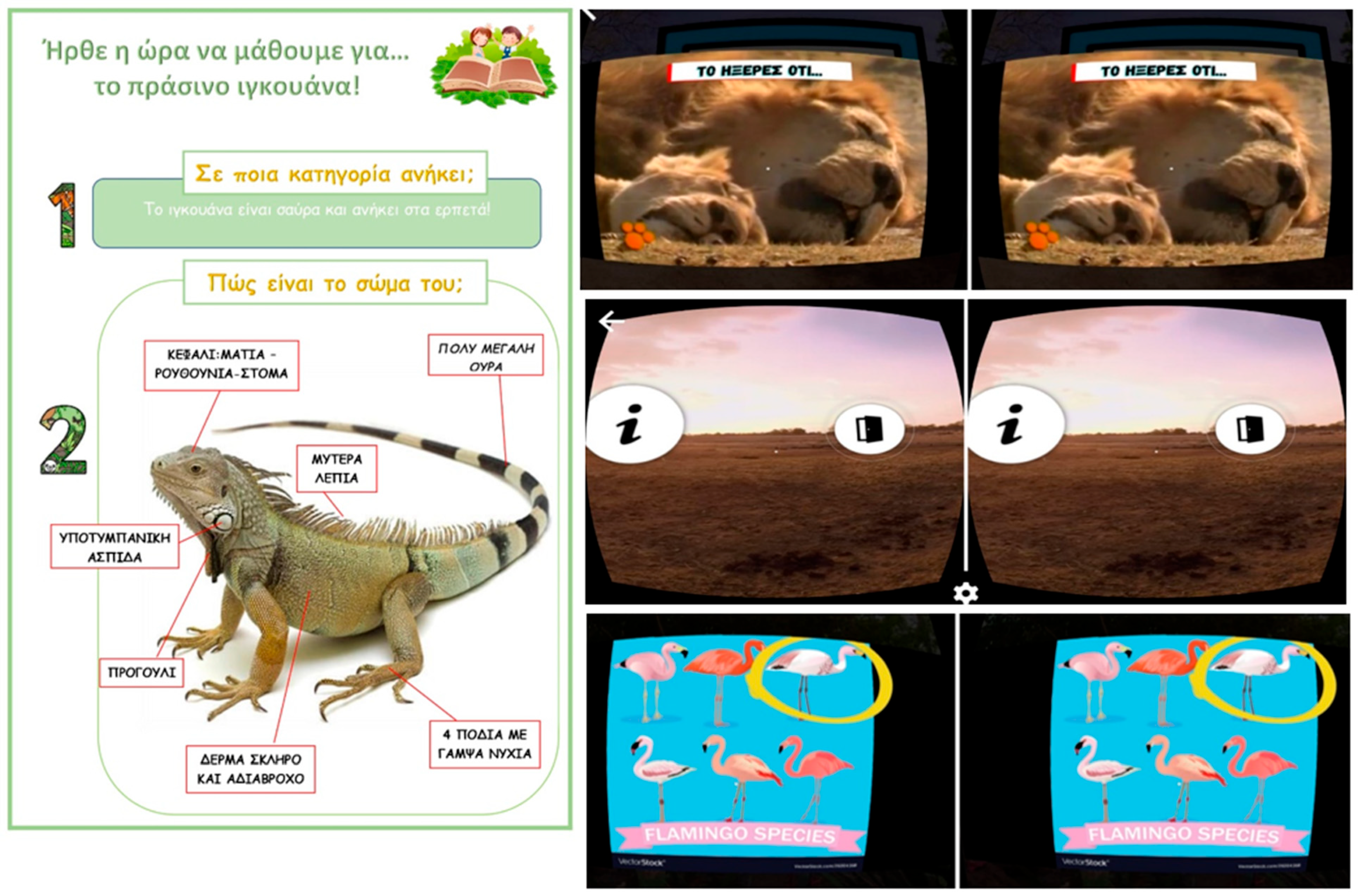 Applsci 14 05996 g001