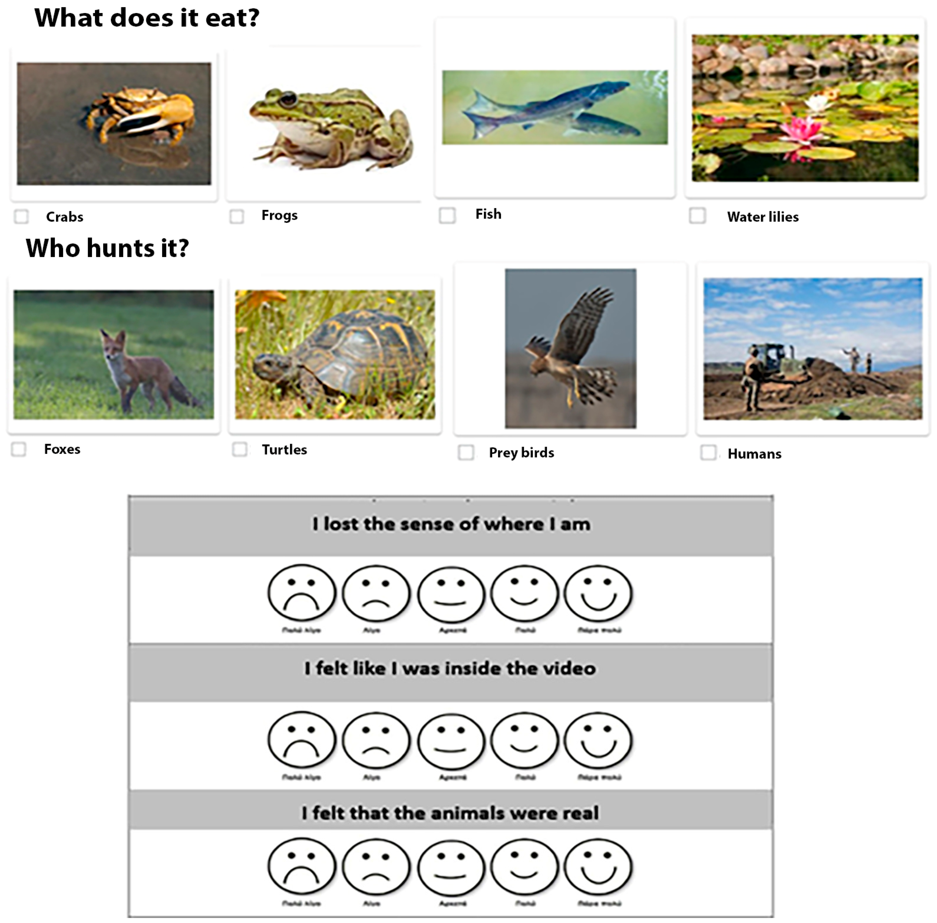 Applsci 14 05996 g002