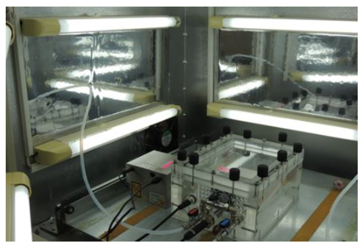 Applsci 14 05997 g005