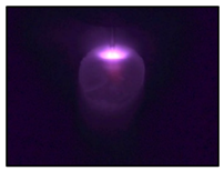 Applsci 14 05998 i007