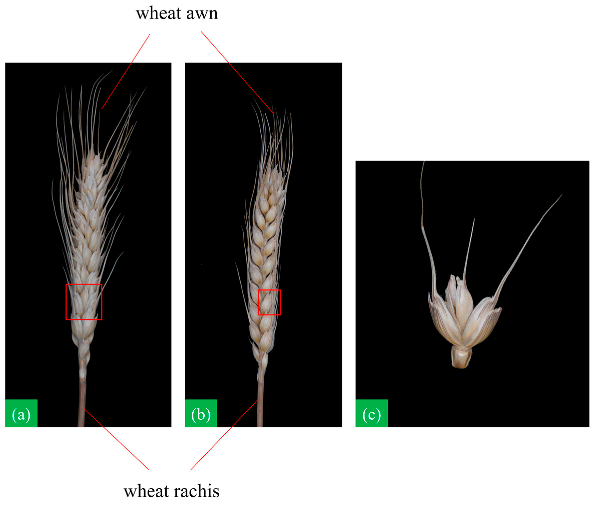Applsci 14 06031 g001