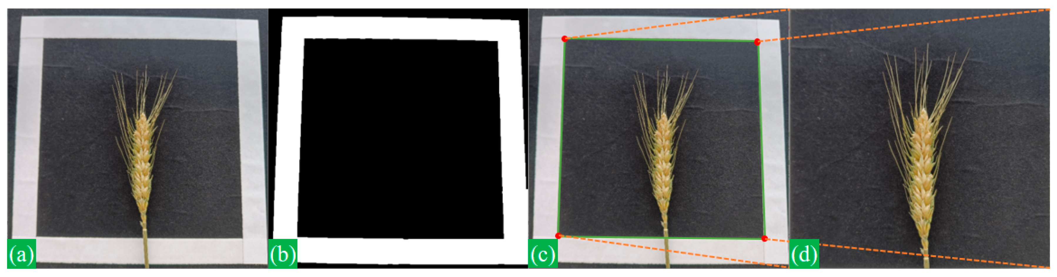 Applsci 14 06031 g003