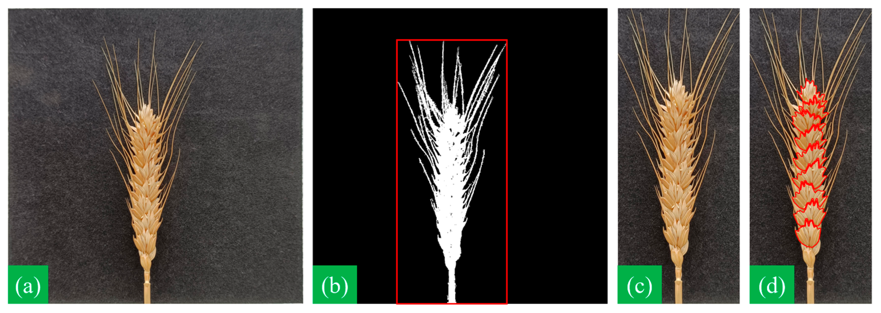 Applsci 14 06031 g004