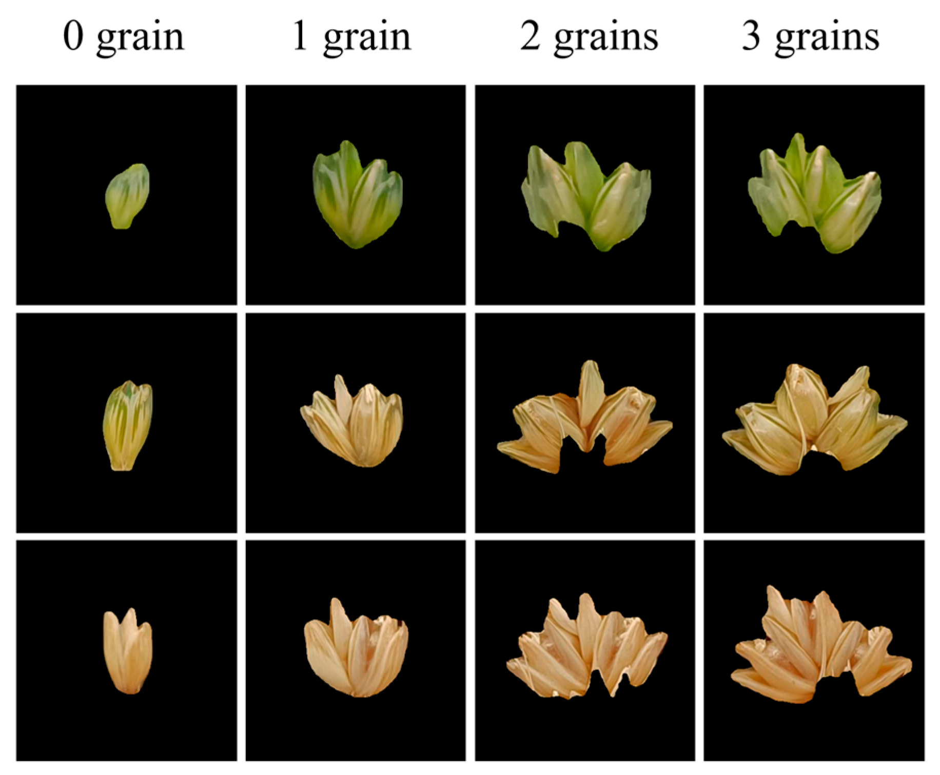 Applsci 14 06031 g006