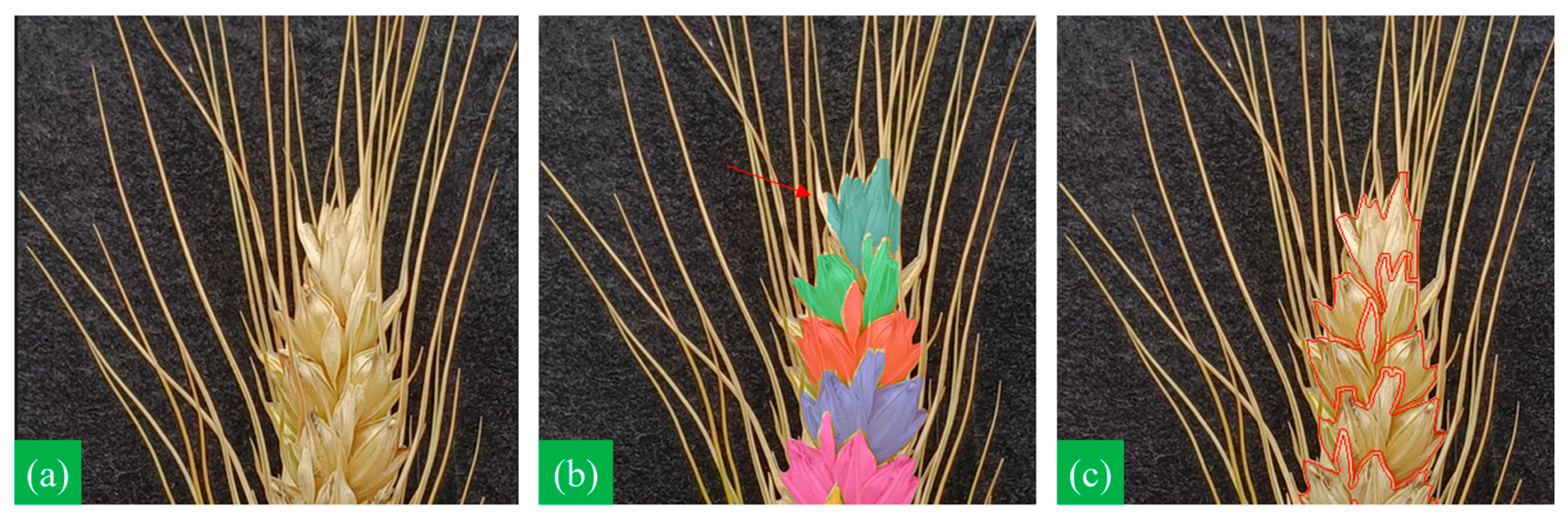 Applsci 14 06031 g008