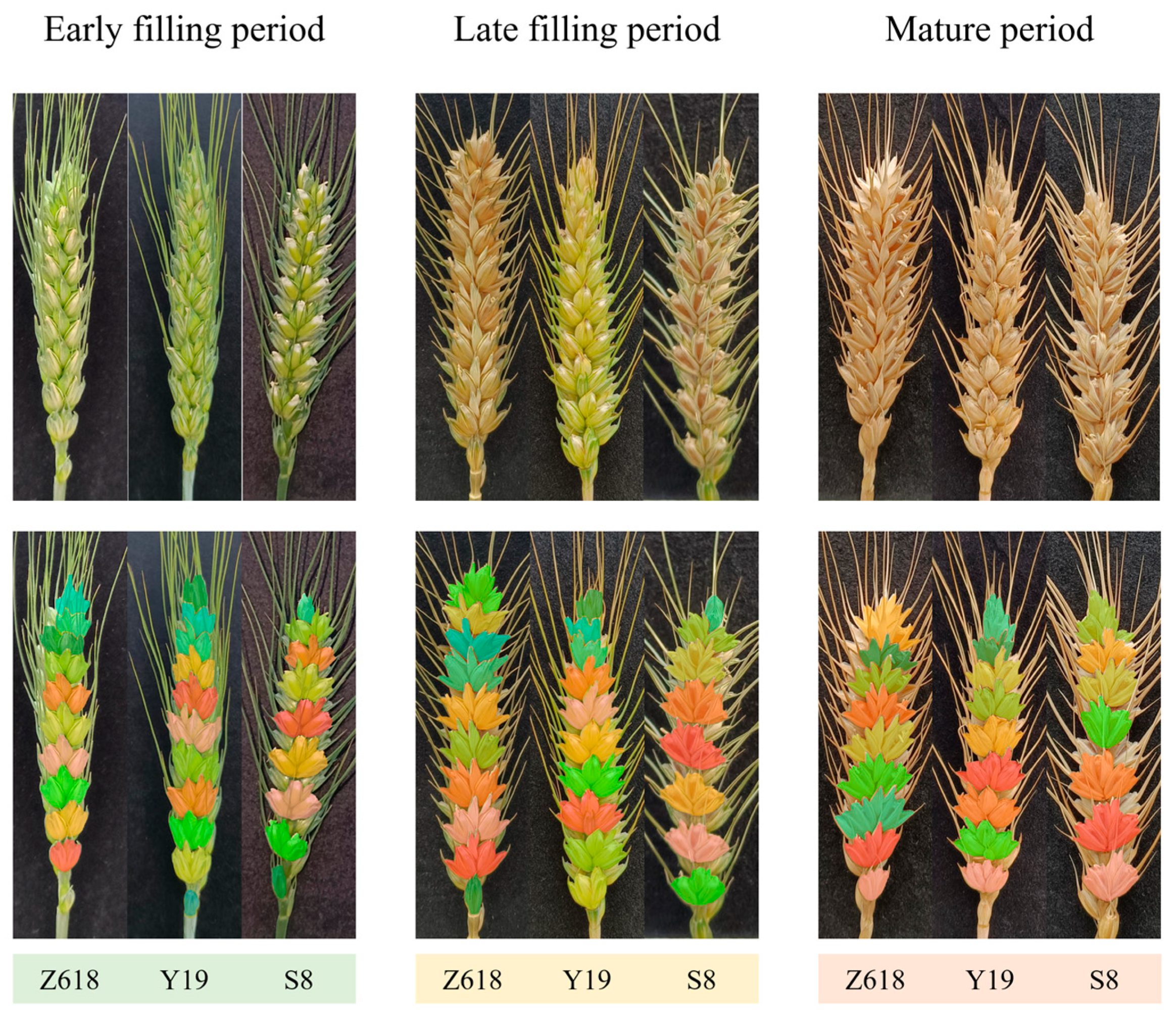 Applsci 14 06031 g009