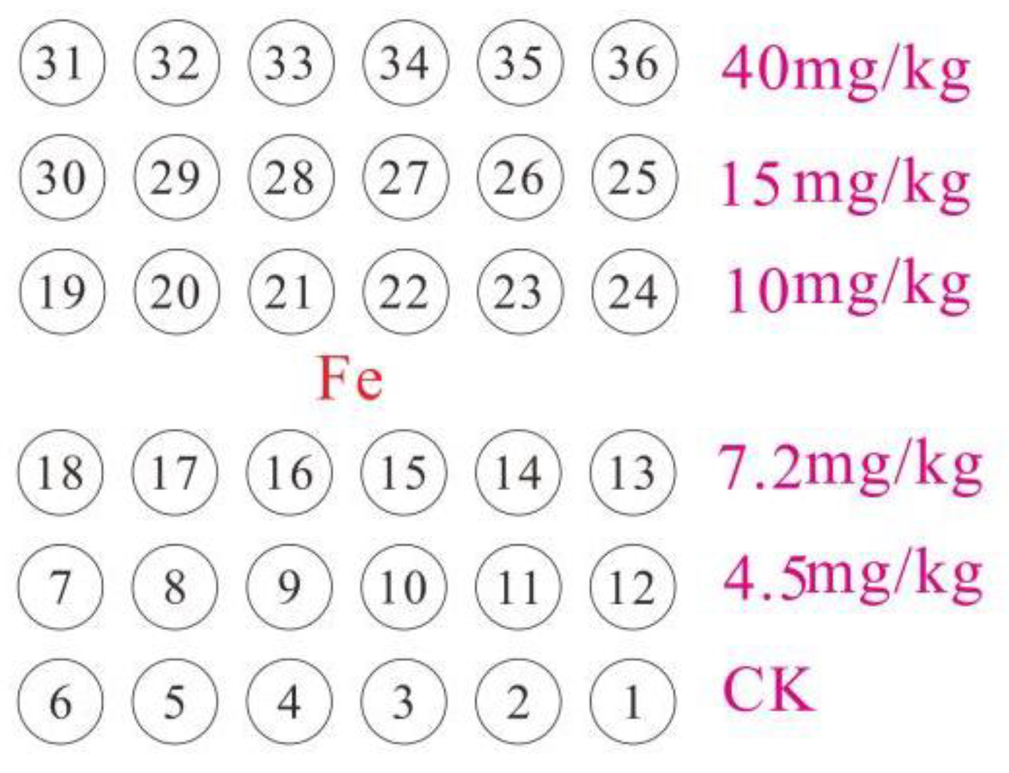 Applsci 14 06059 g001