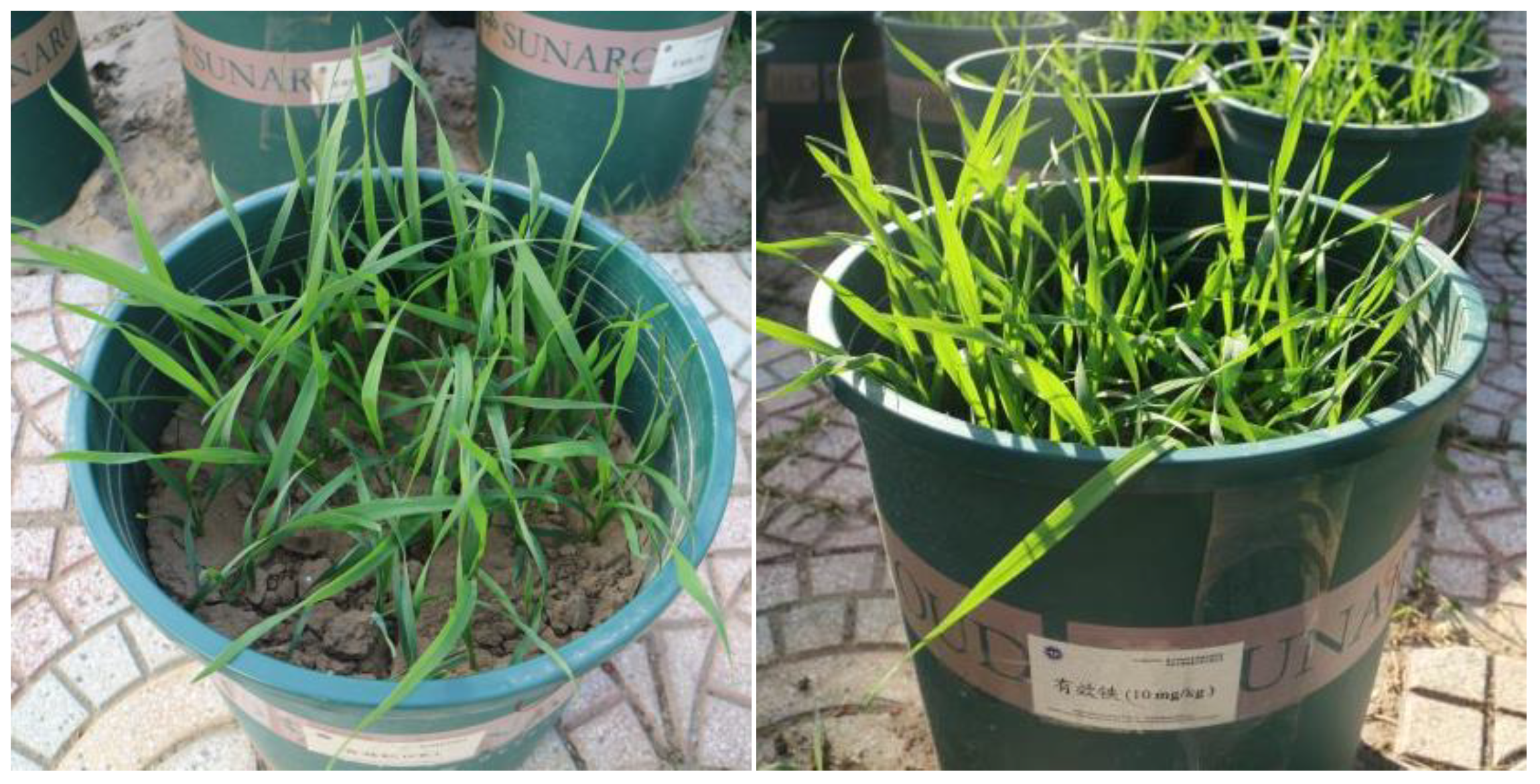 Applsci 14 06059 g002