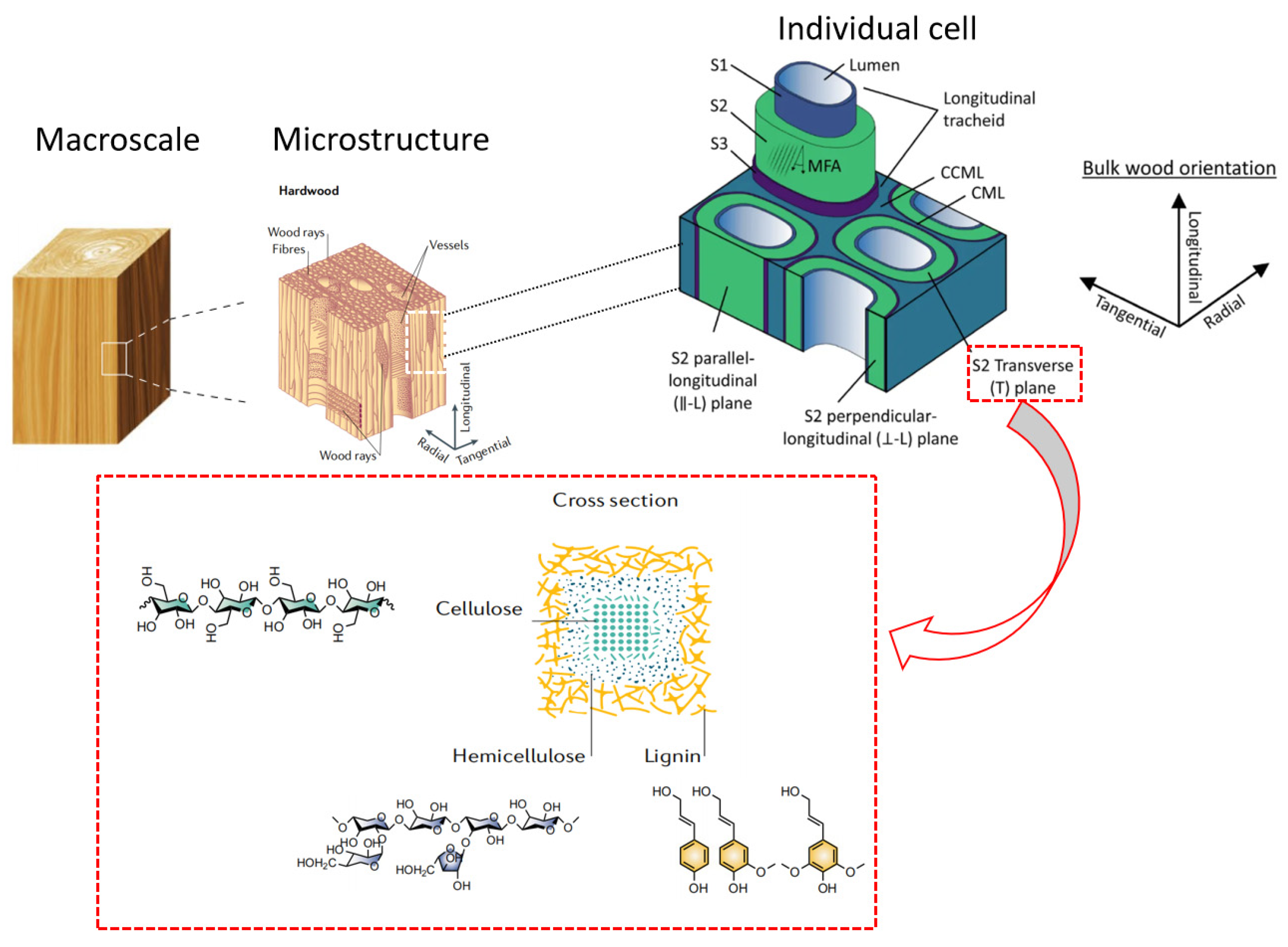 Applsci 14 06091 g002