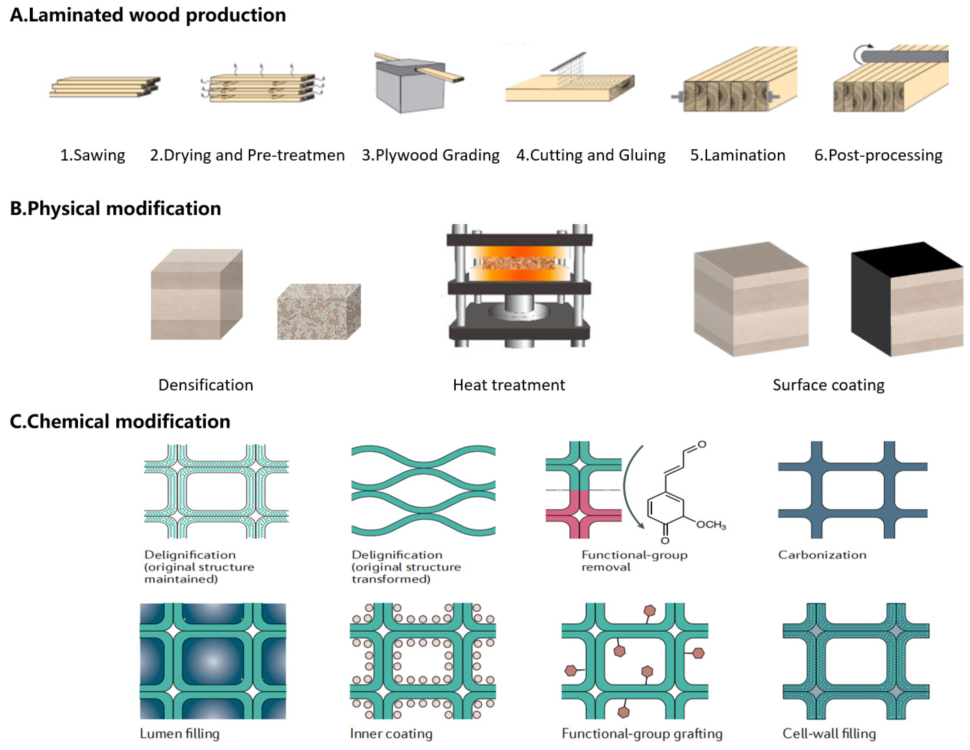 Applsci 14 06091 g005