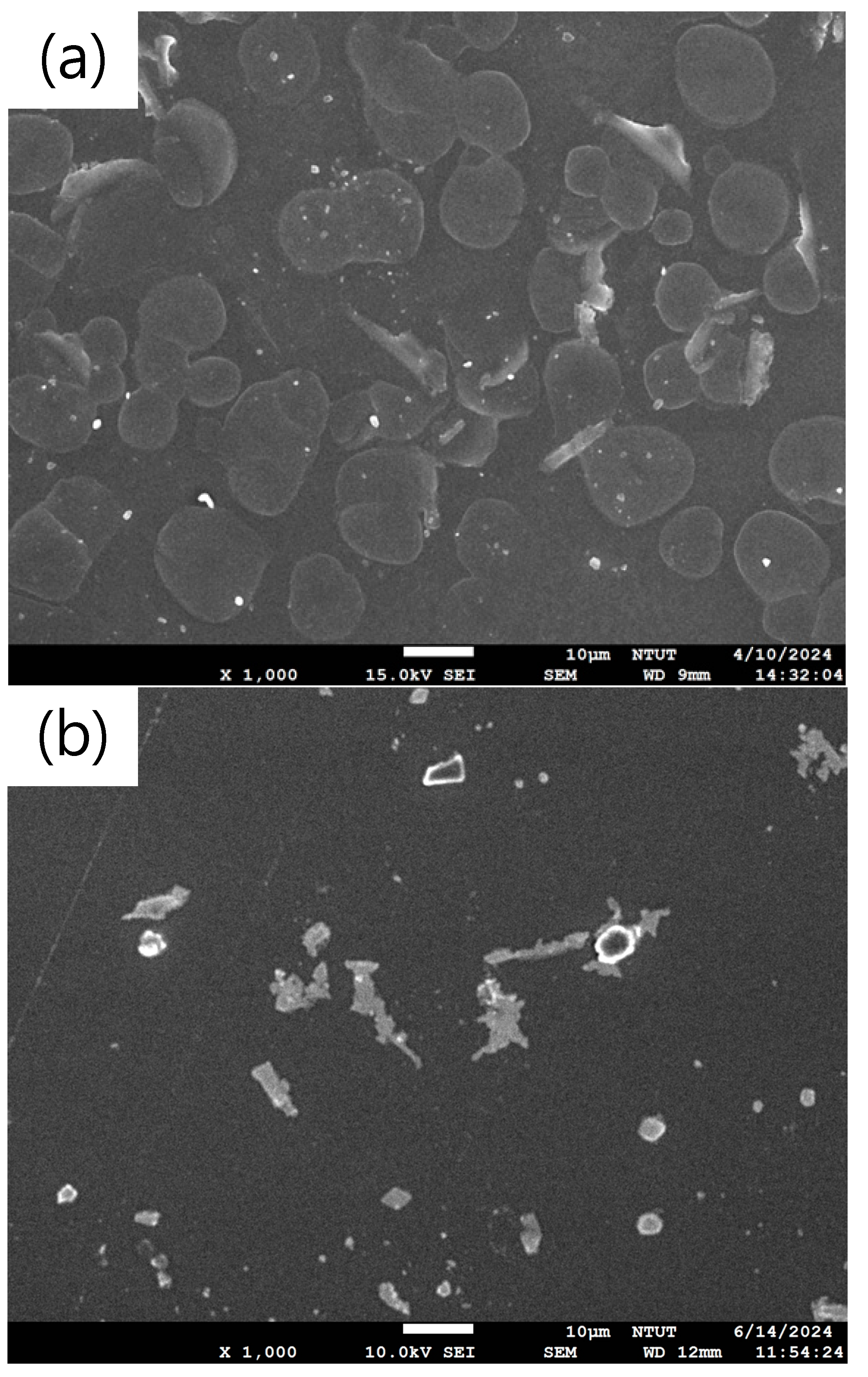 Applsci 14 06096 g003