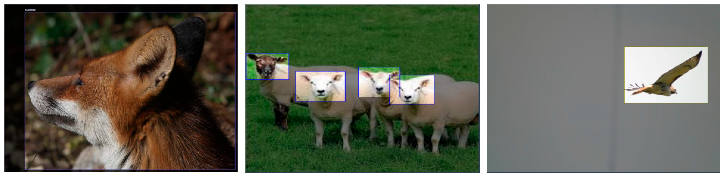 Applsci 14 06098 g004