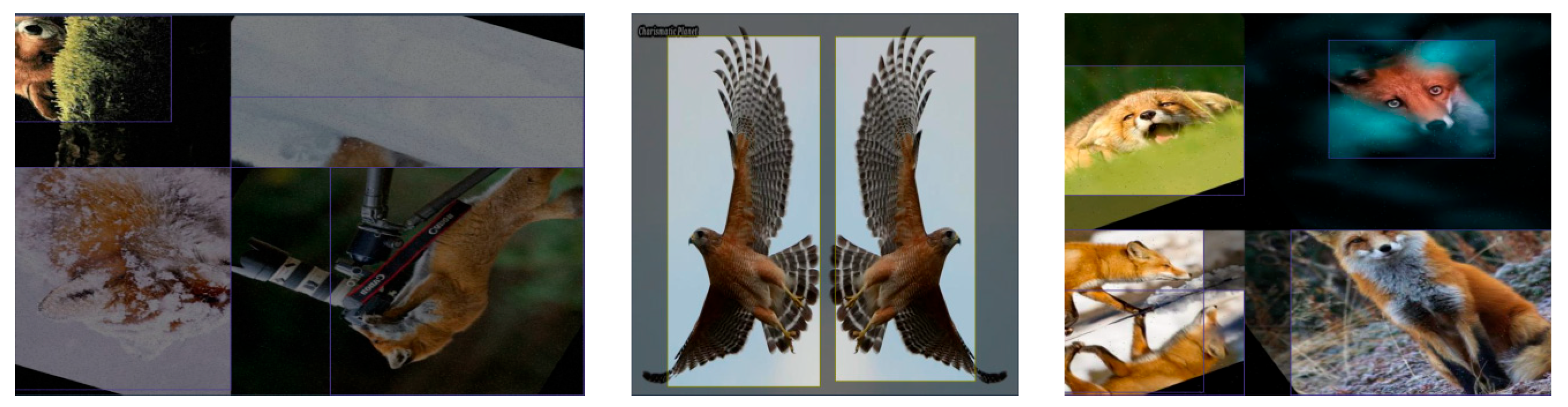 Applsci 14 06098 g005