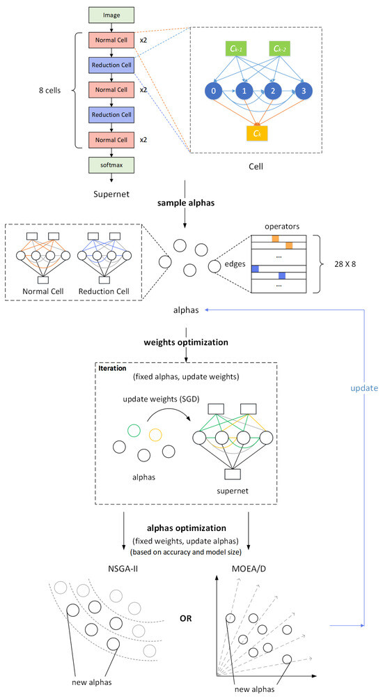 Multi-Objective Evolutionary Neural Architecture Search with Weight ...