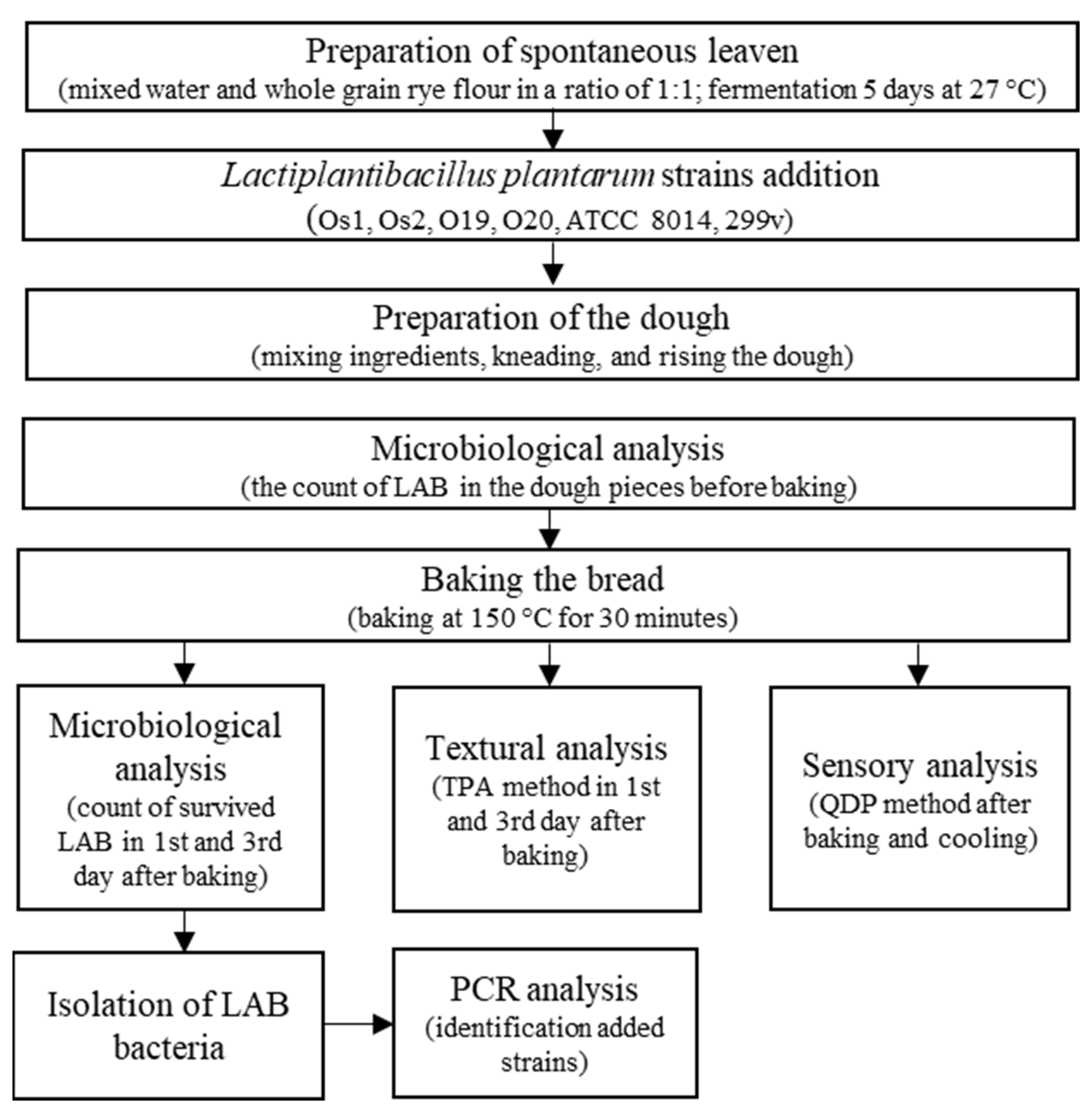 Applsci 14 06155 g001
