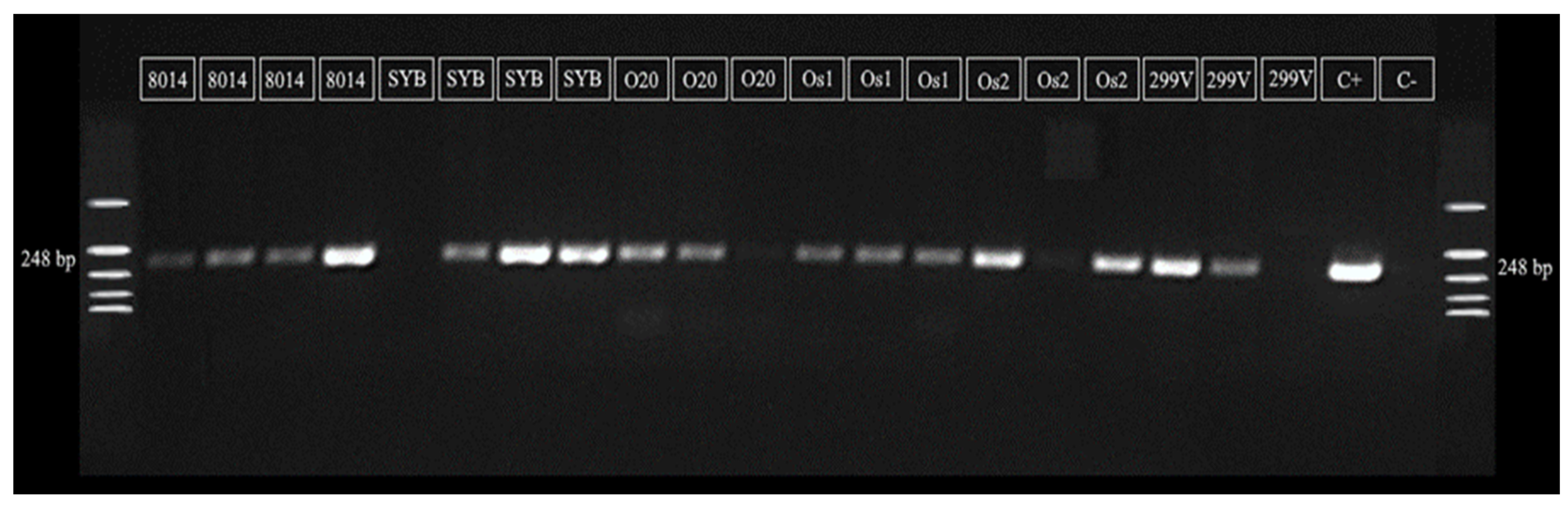 Applsci 14 06155 g0a1