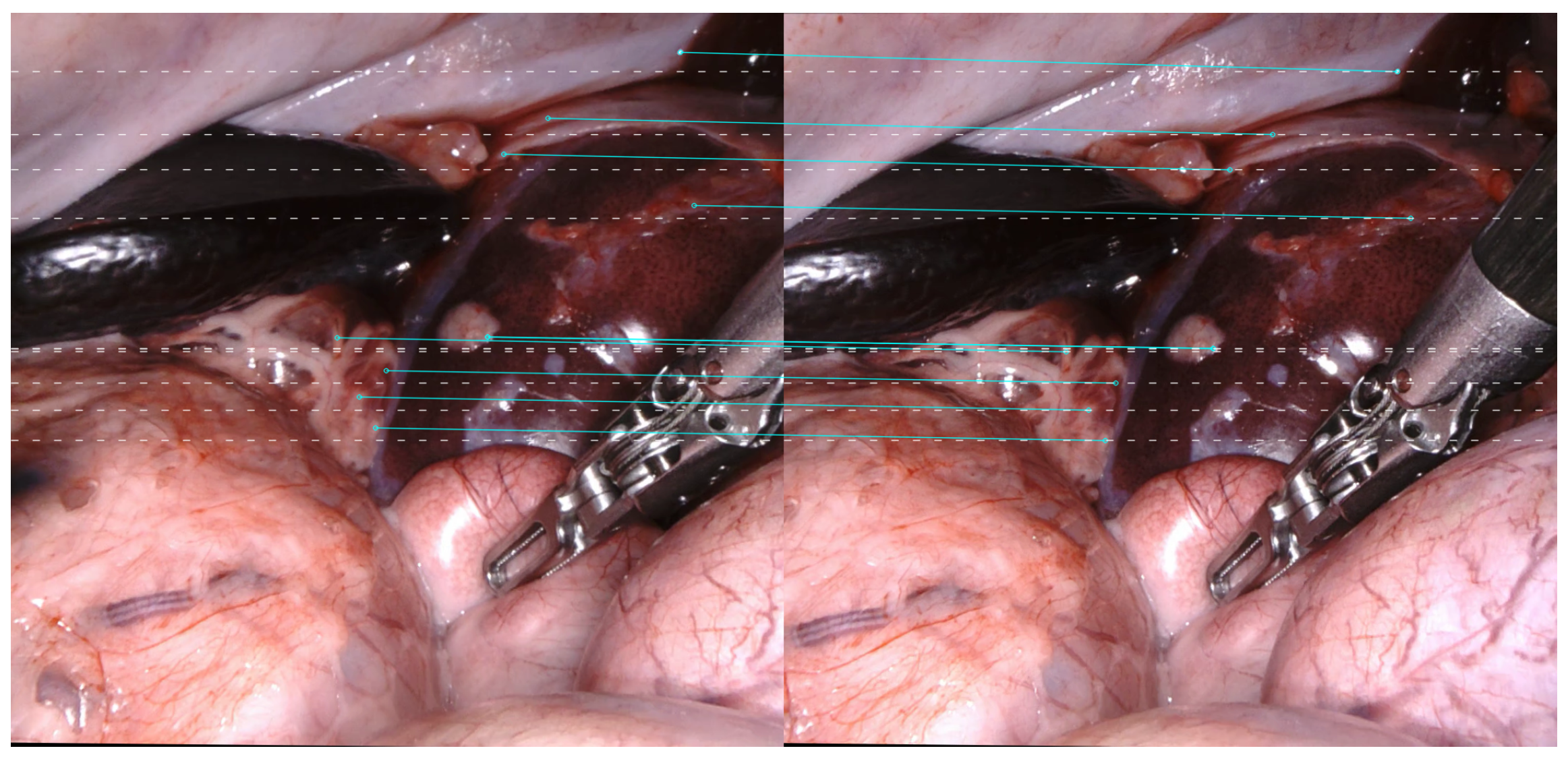 Applsci 14 06176 g001