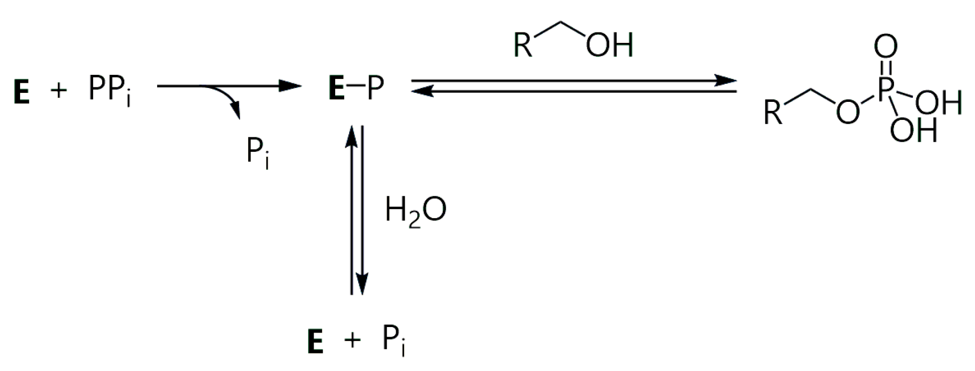 Applsci 14 06227 sch001