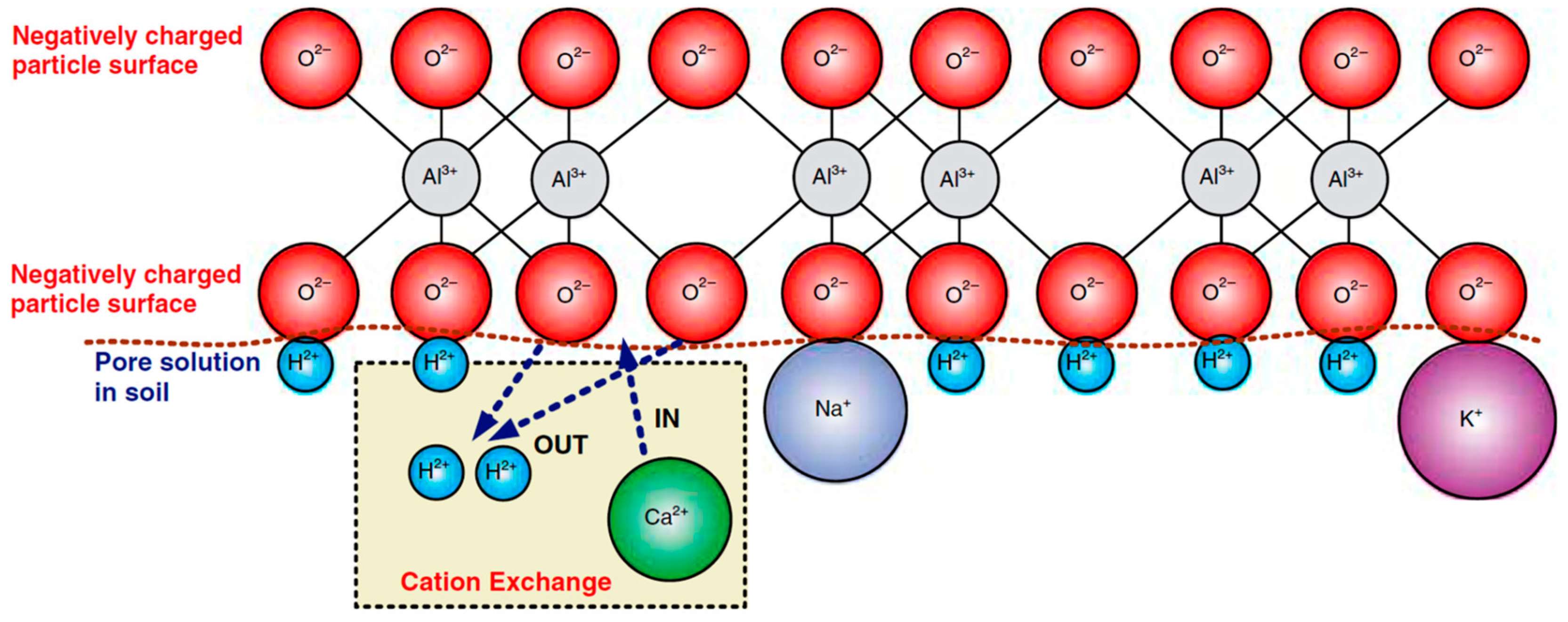 Applsci 14 06249 g001