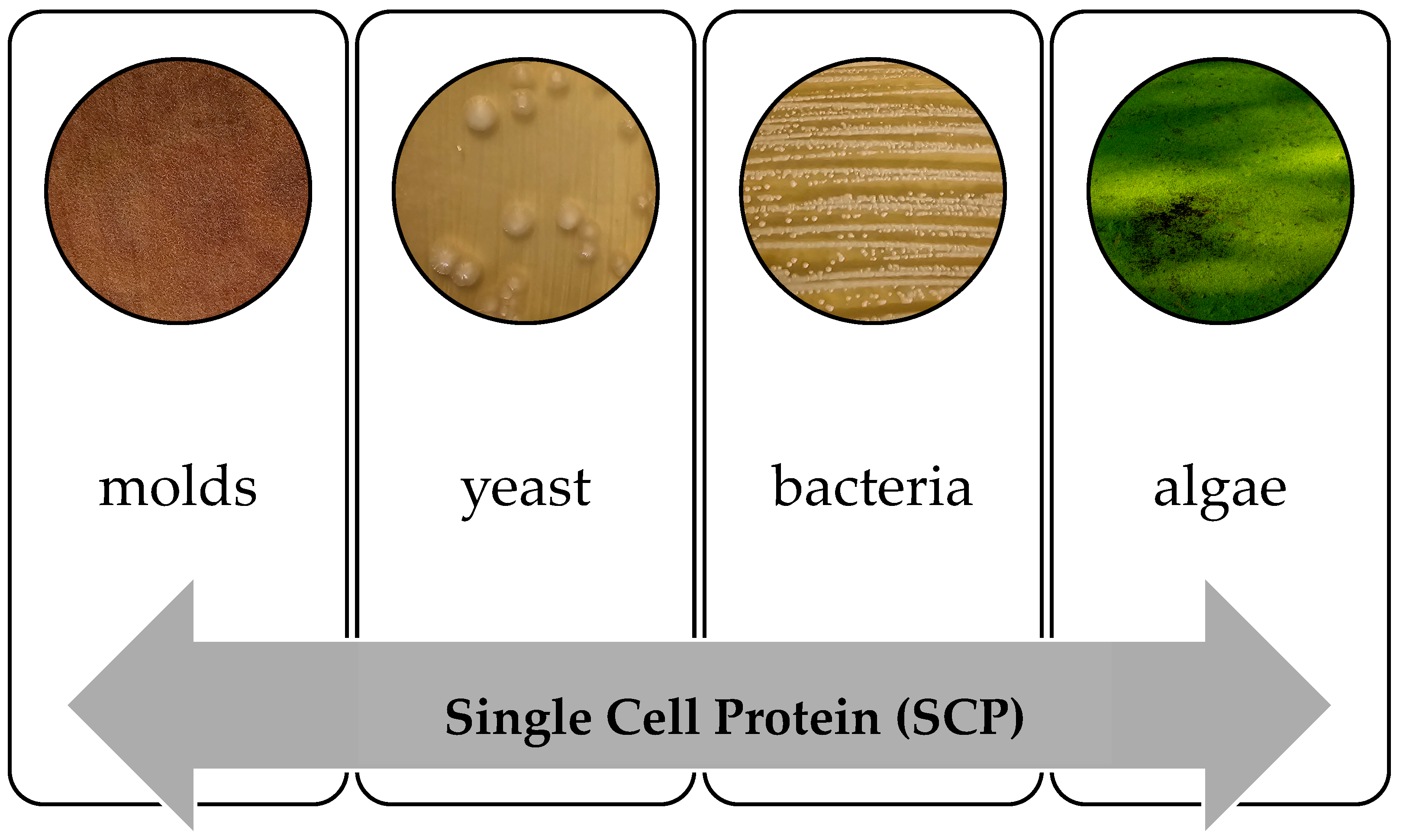 Applsci 14 06259 g001