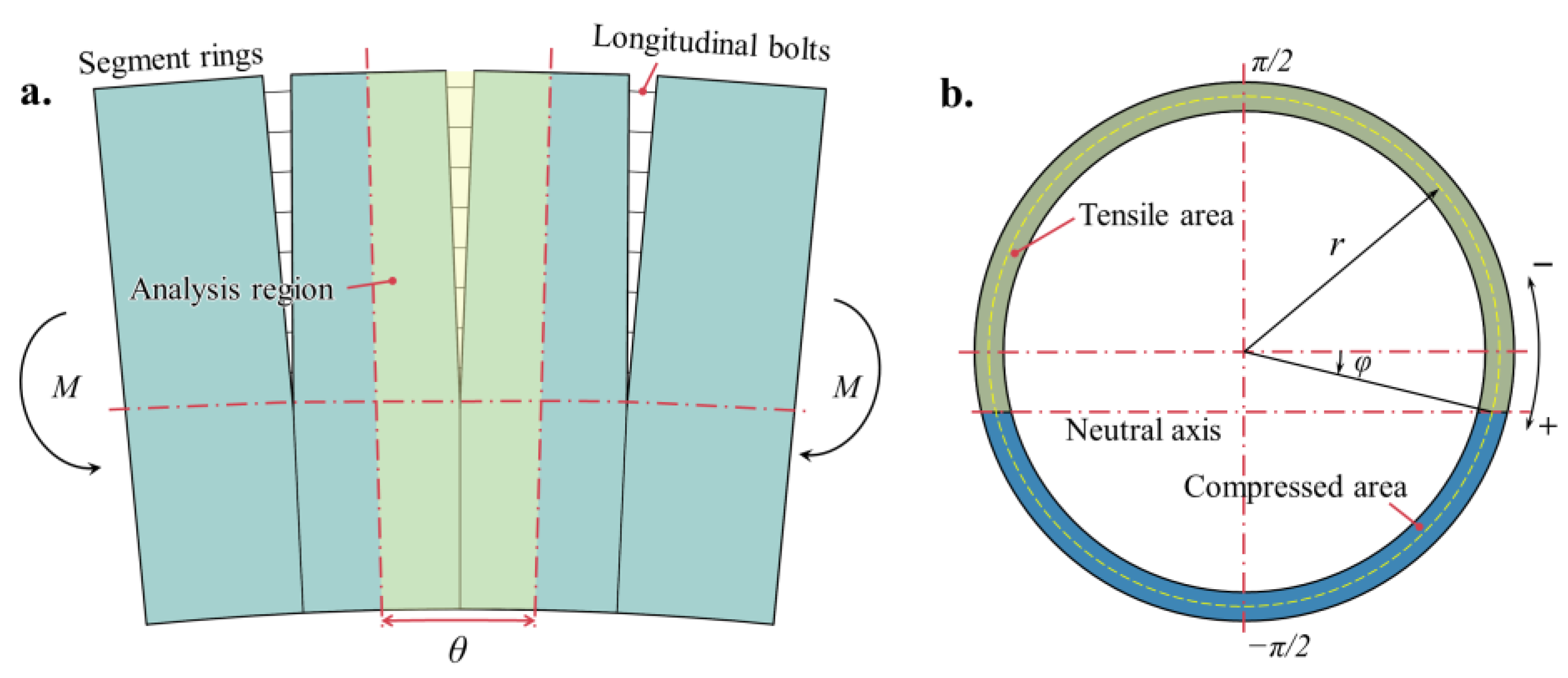 Longitudinal Nonlinear Equivalent Continuous Model for