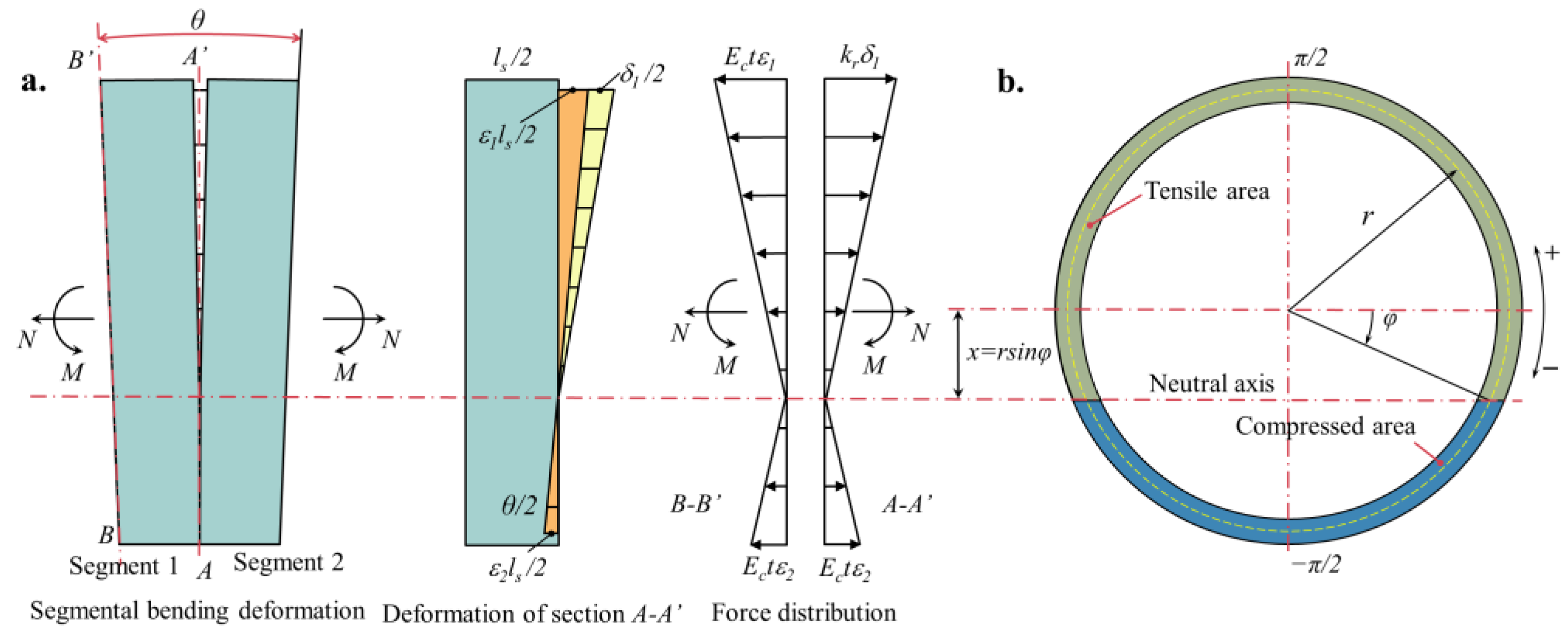 Longitudinal Nonlinear Equivalent Continuous Model for