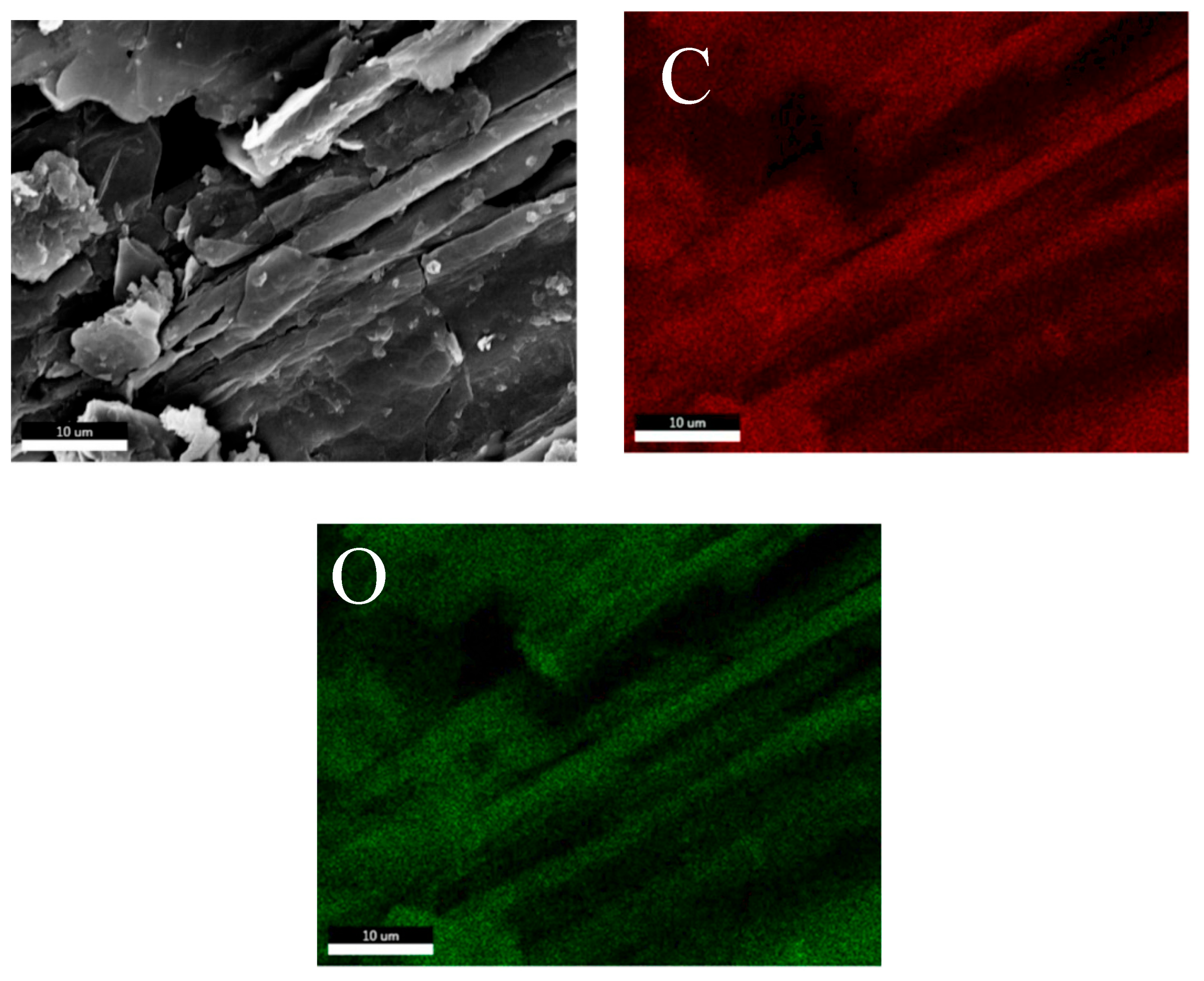 Applsci 14 06274 g002