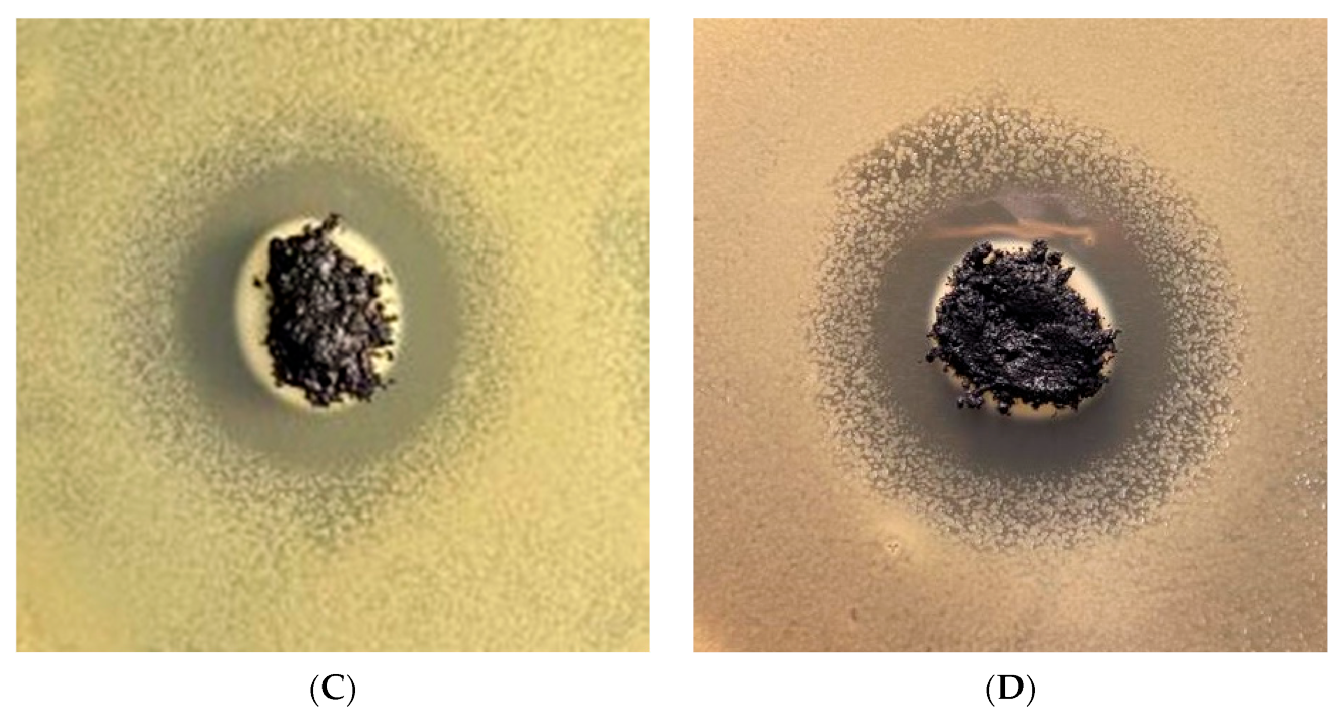 Applsci 14 06274 g010b