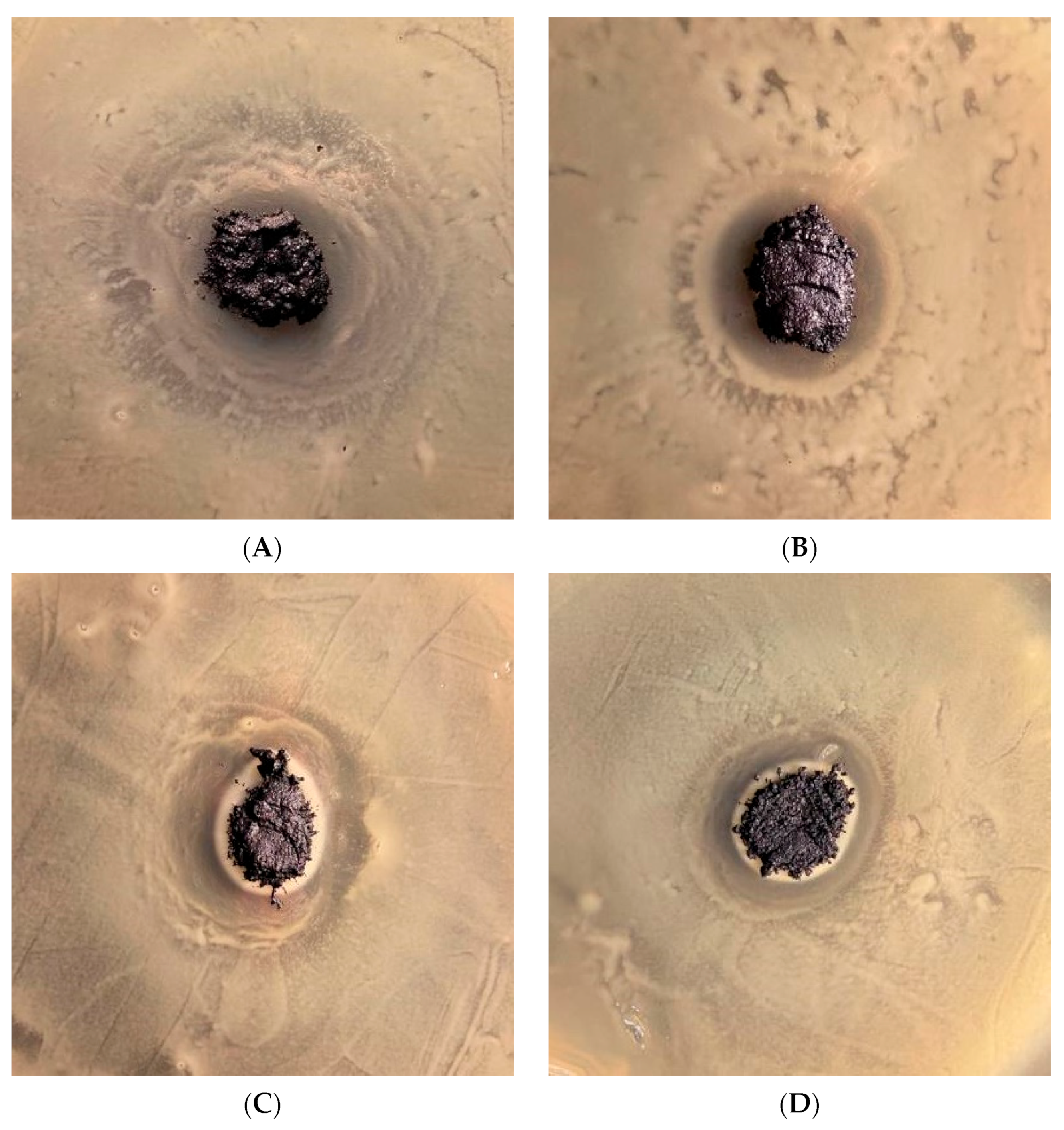 Applsci 14 06274 g011