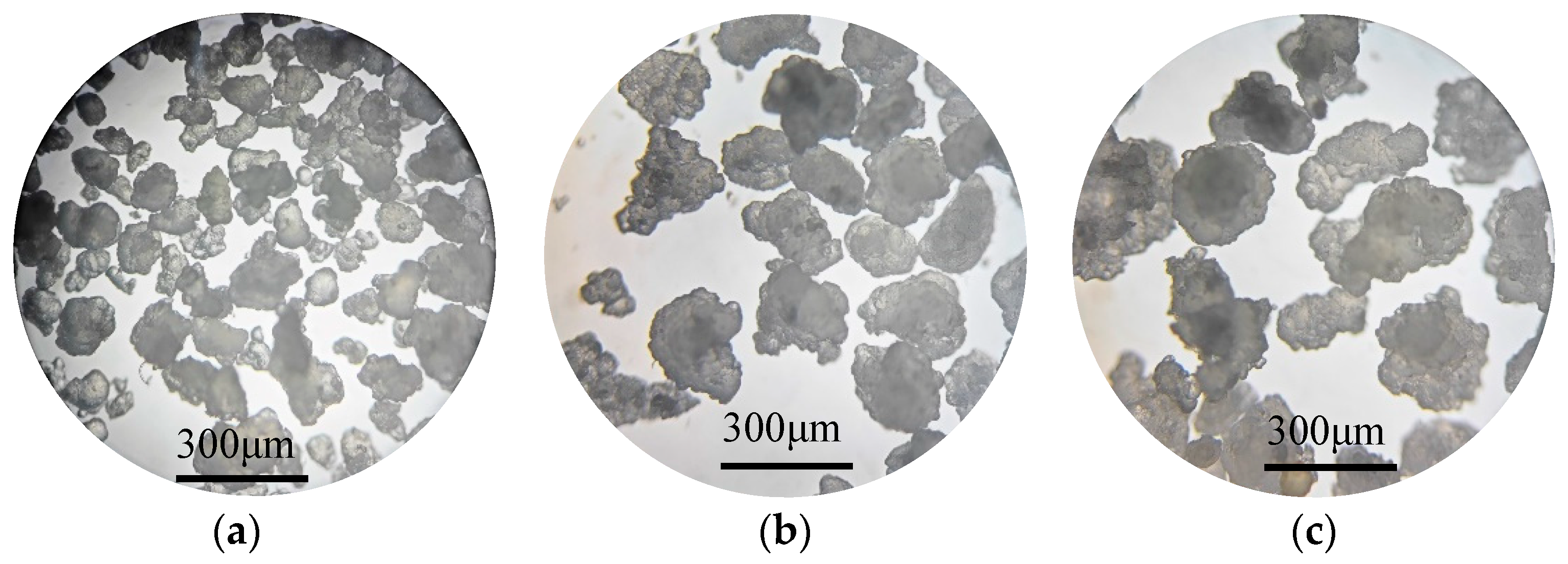 Applsci 14 06313 g004