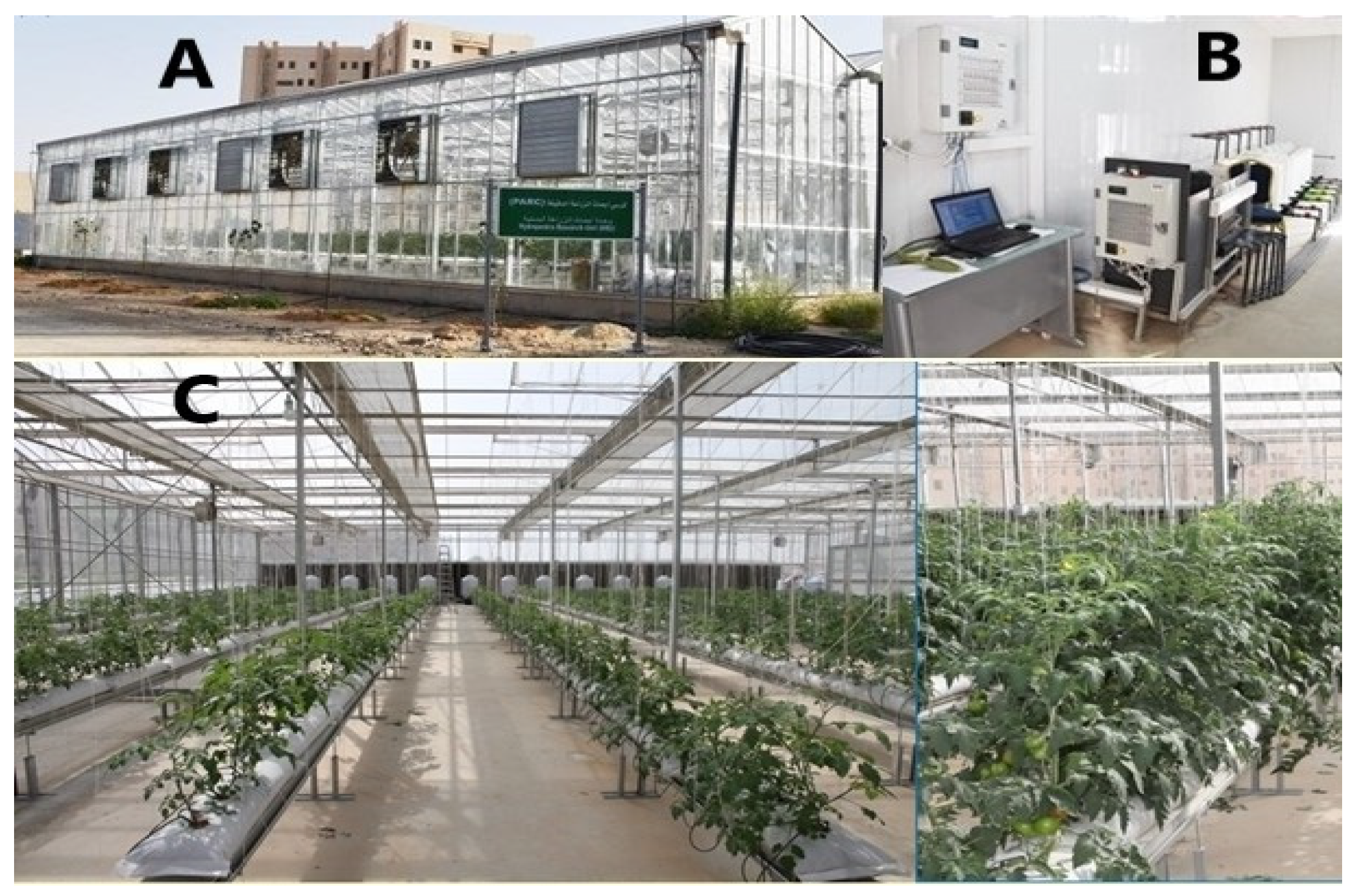 Applsci 14 06315 g001