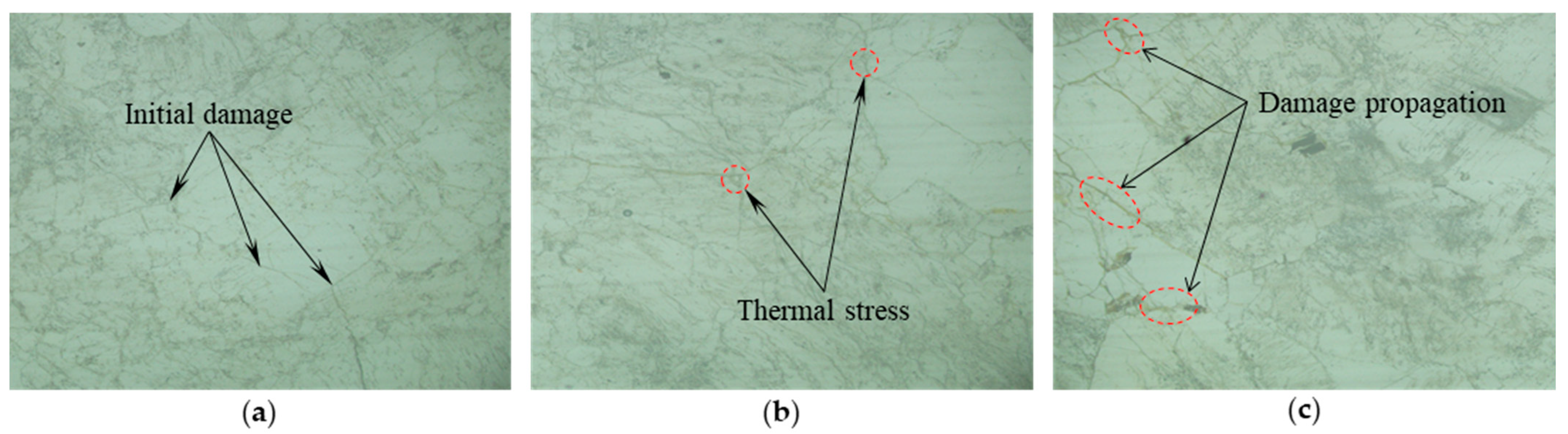 Applsci 14 06324 g004