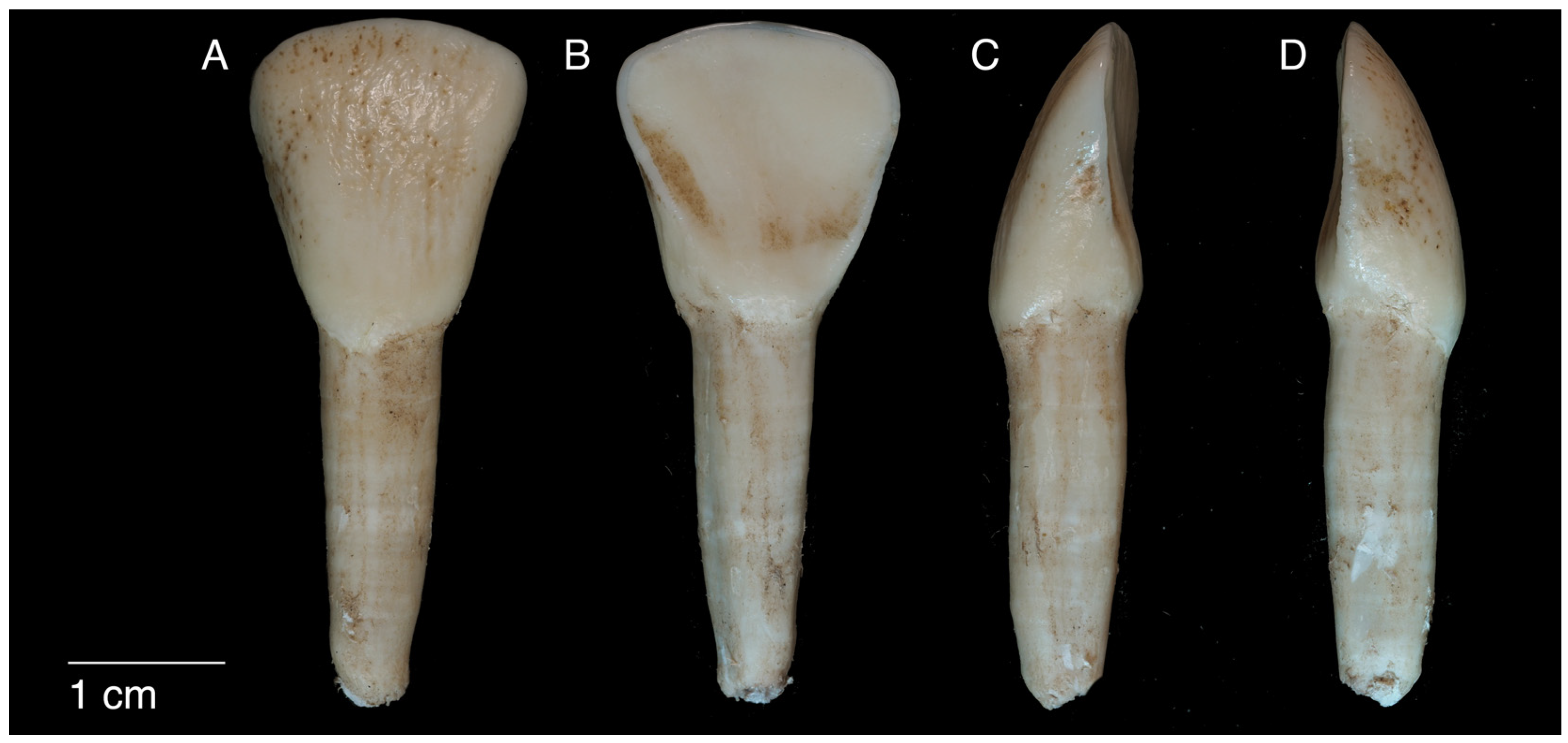 Applsci 14 06334 g001