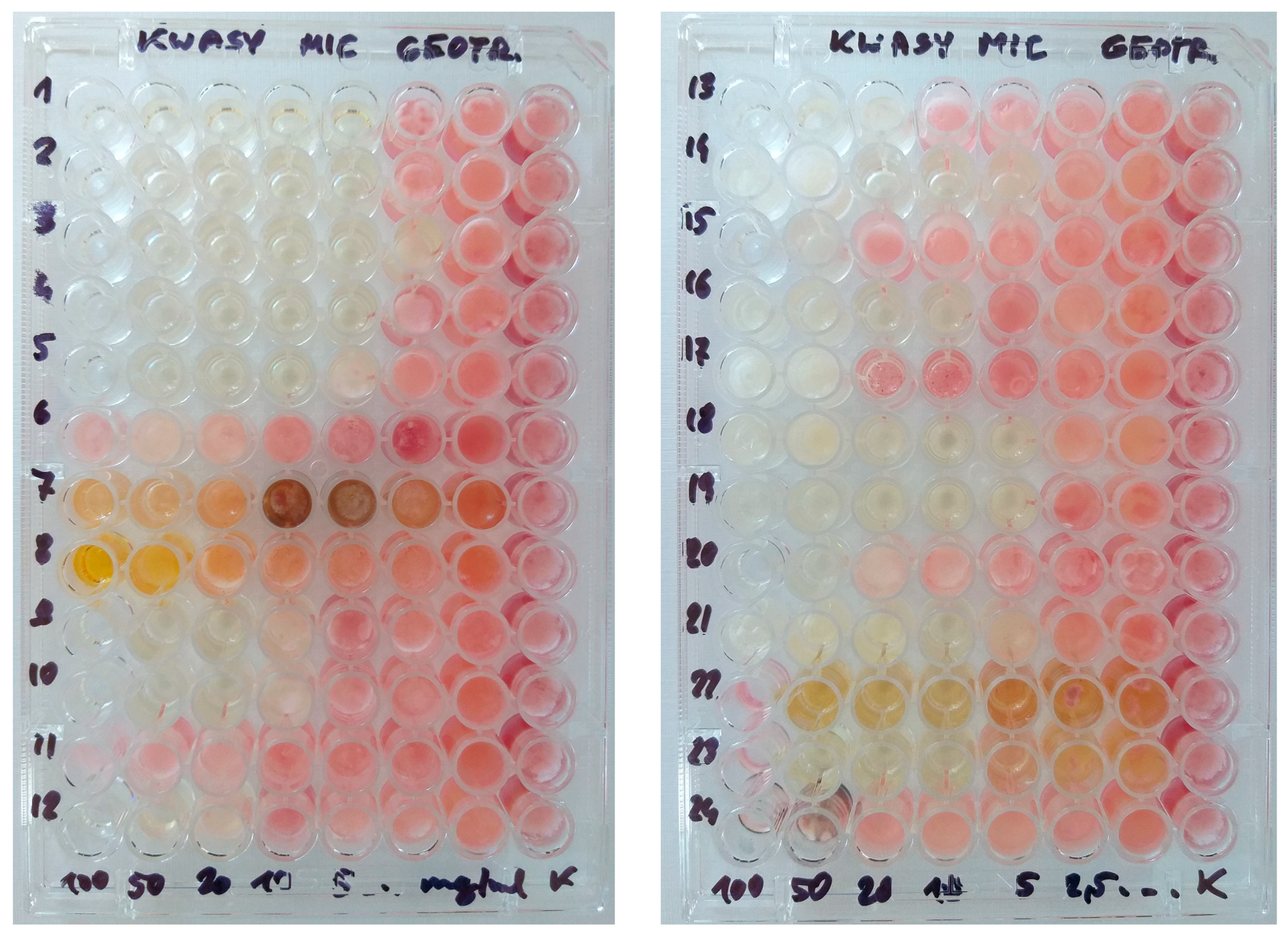 Applsci 14 06340 g001