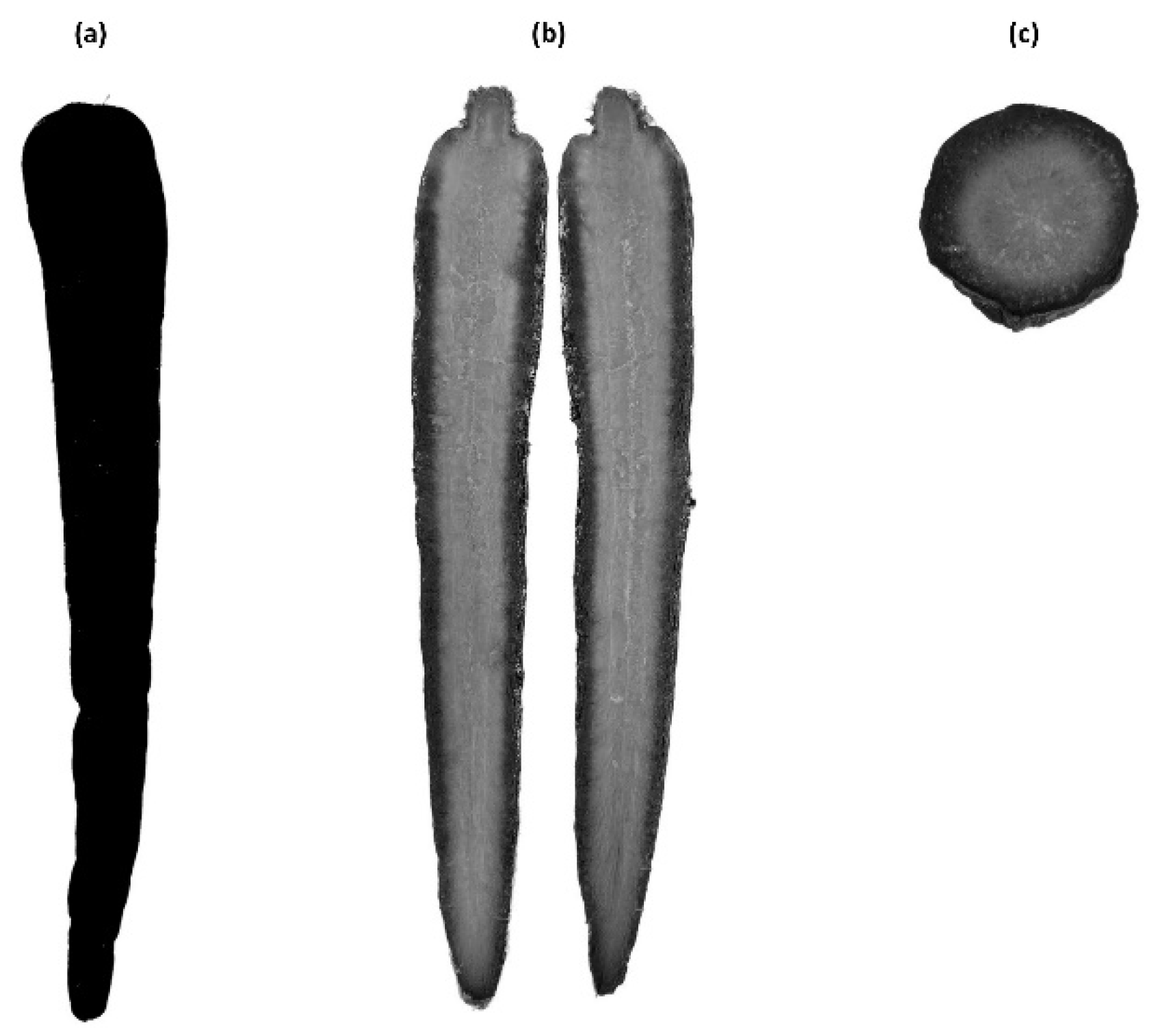 Applsci 14 06359 g001