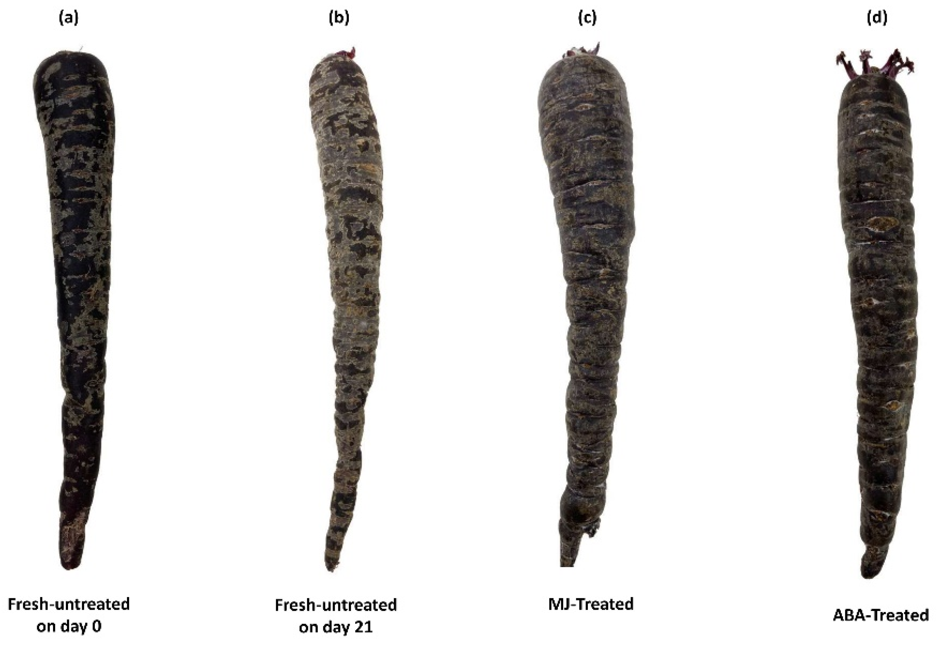 Applsci 14 06359 g002