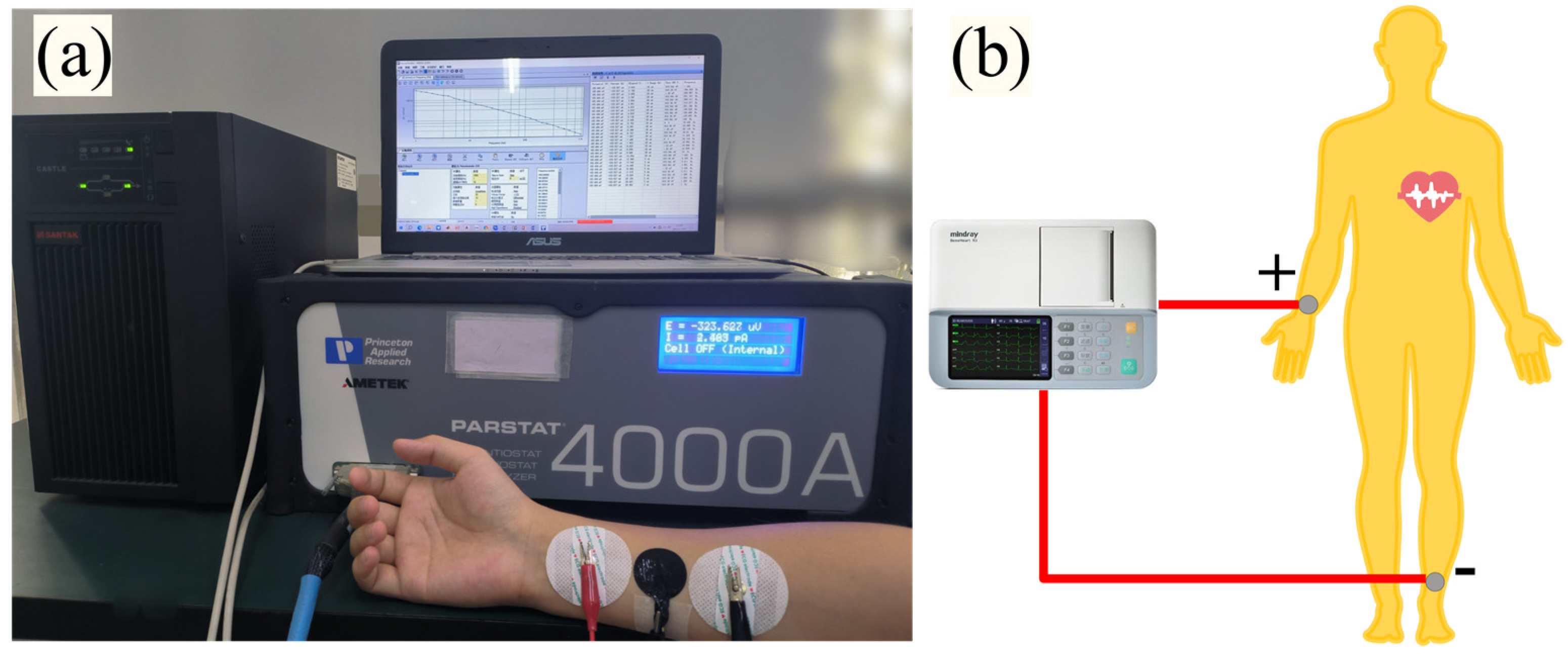 Applsci 14 06367 g003 Applsci 14 06367 g003