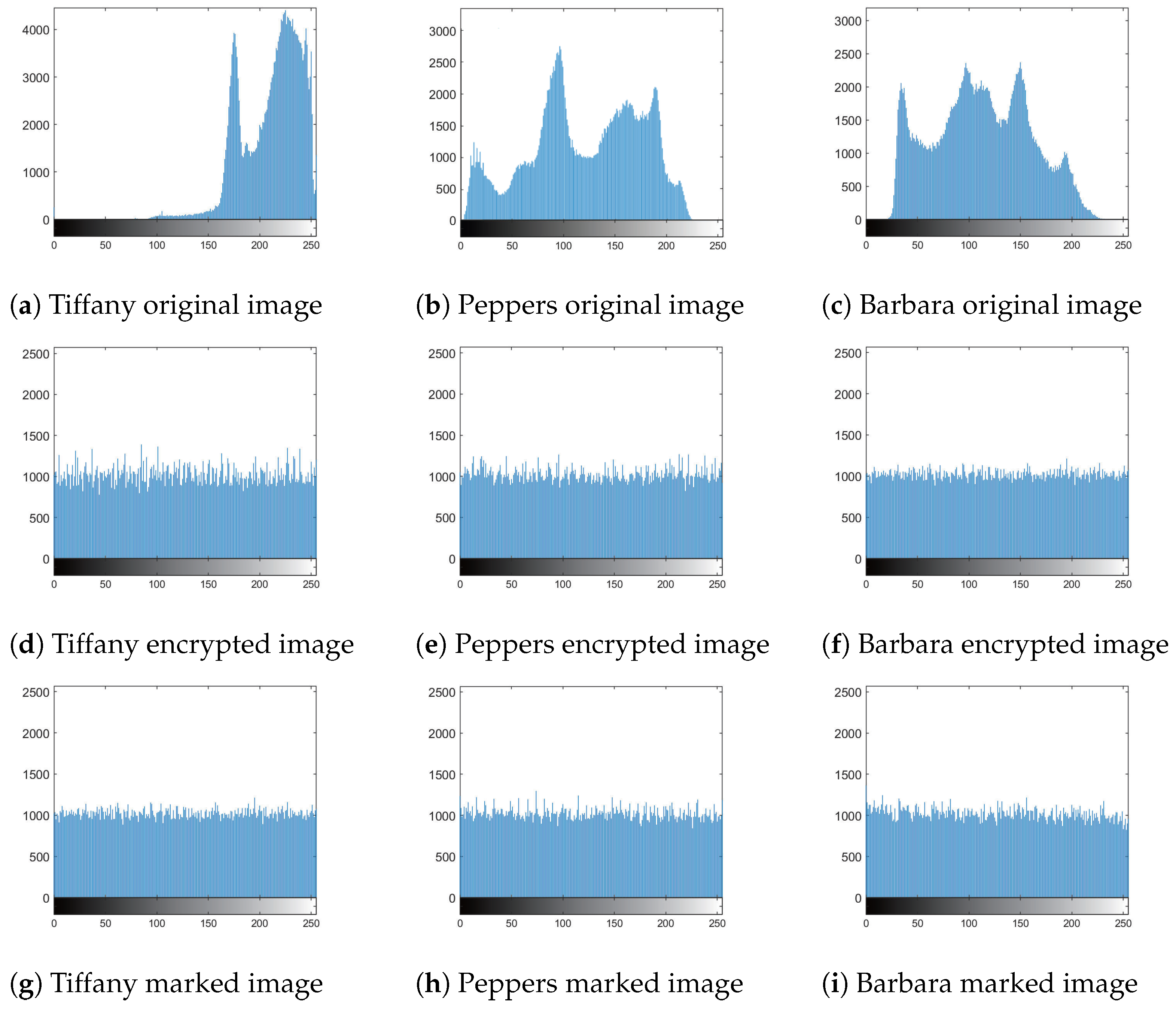 Applsci 14 06376 g016