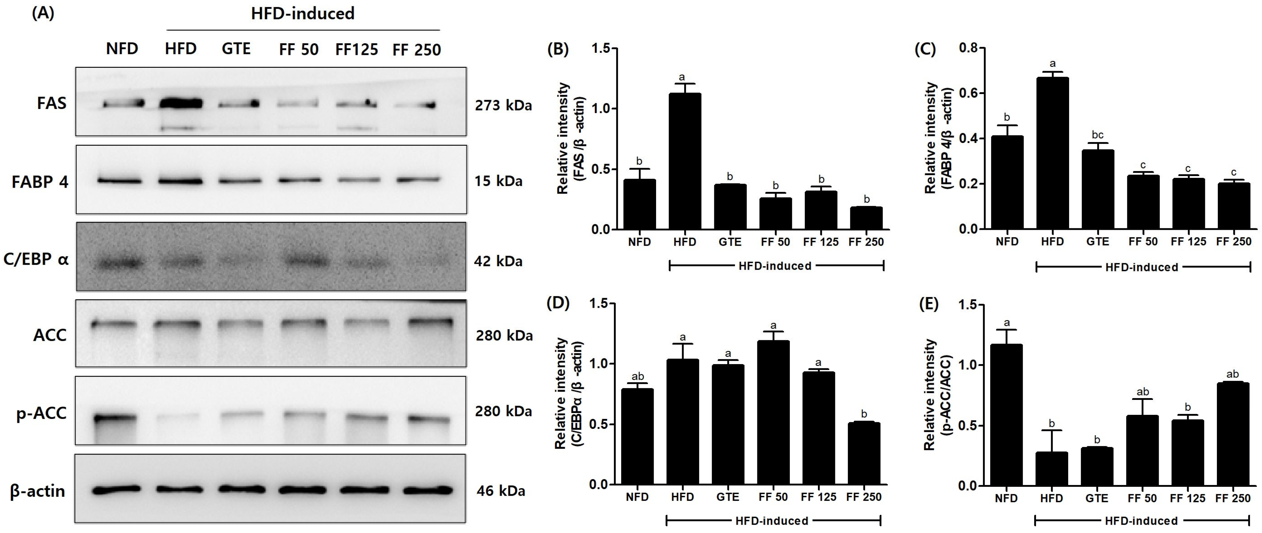 Applsci 14 06412 g009