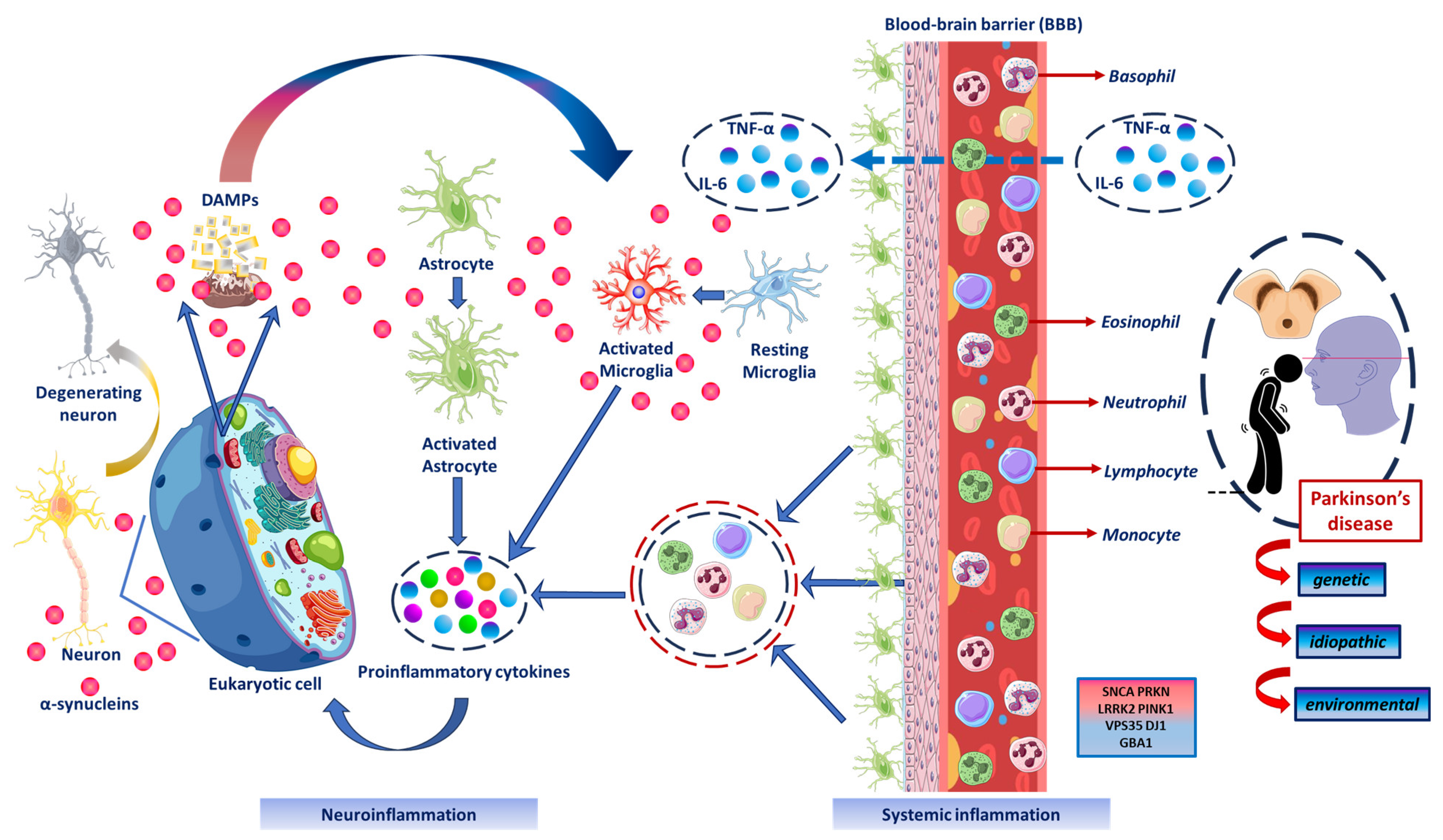Applsci 14 06417 g001