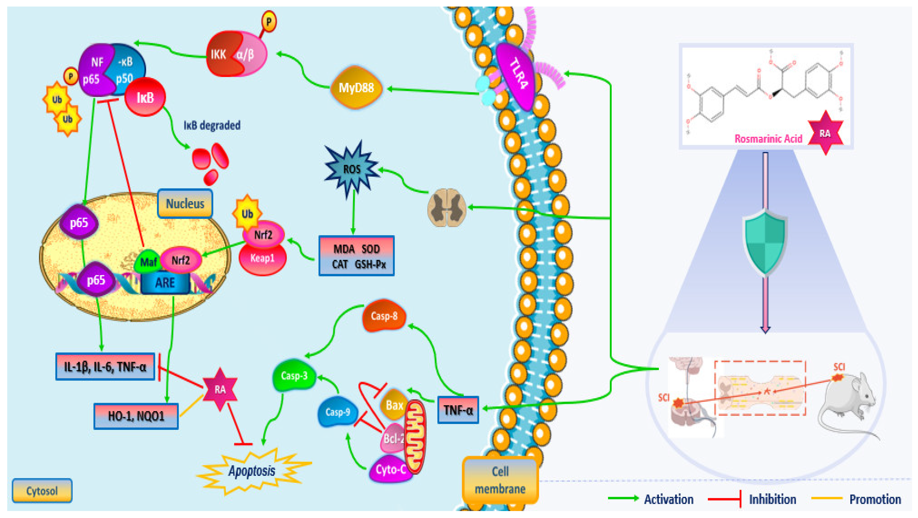 Applsci 14 06417 g005