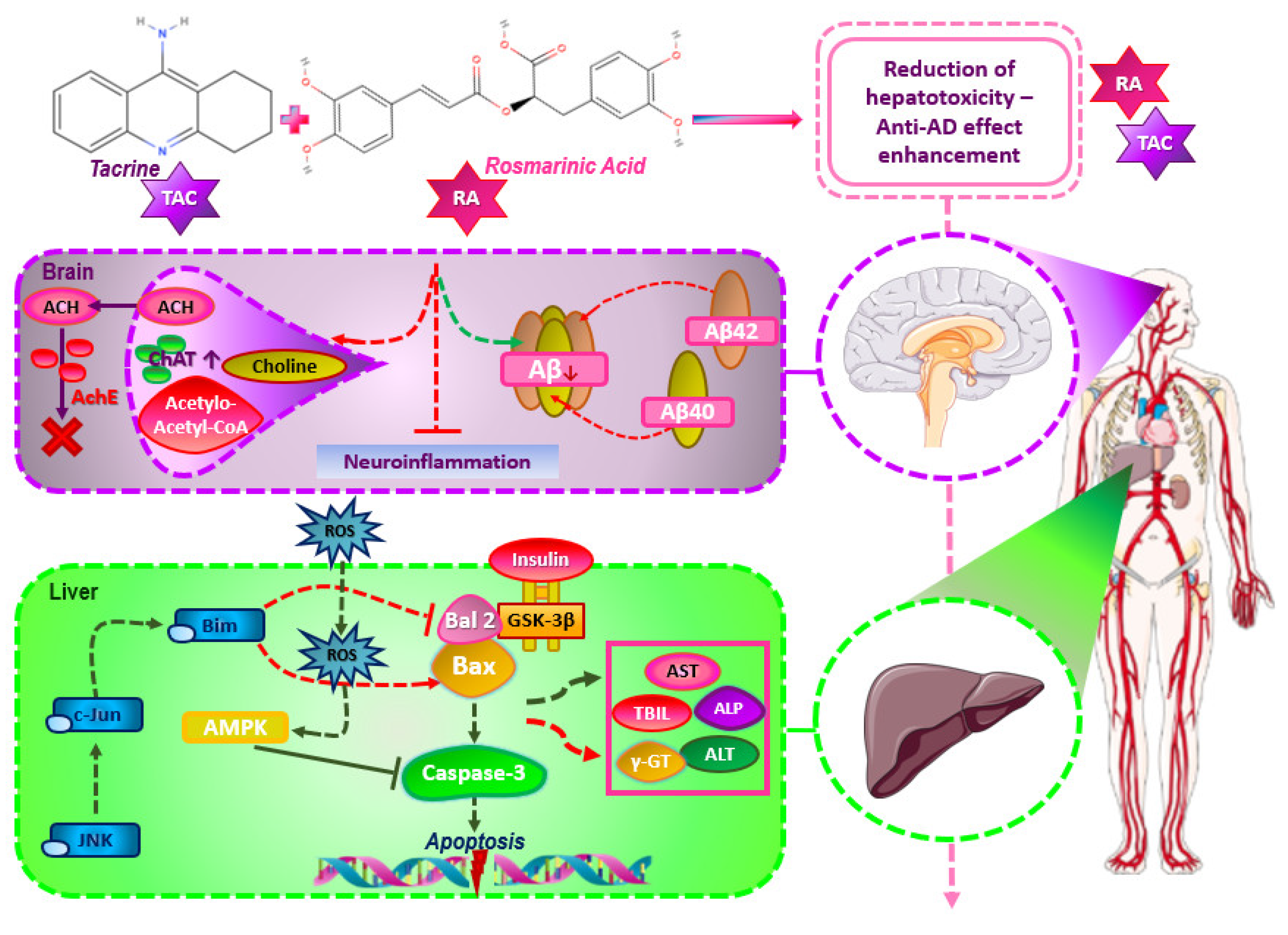Applsci 14 06417 g006
