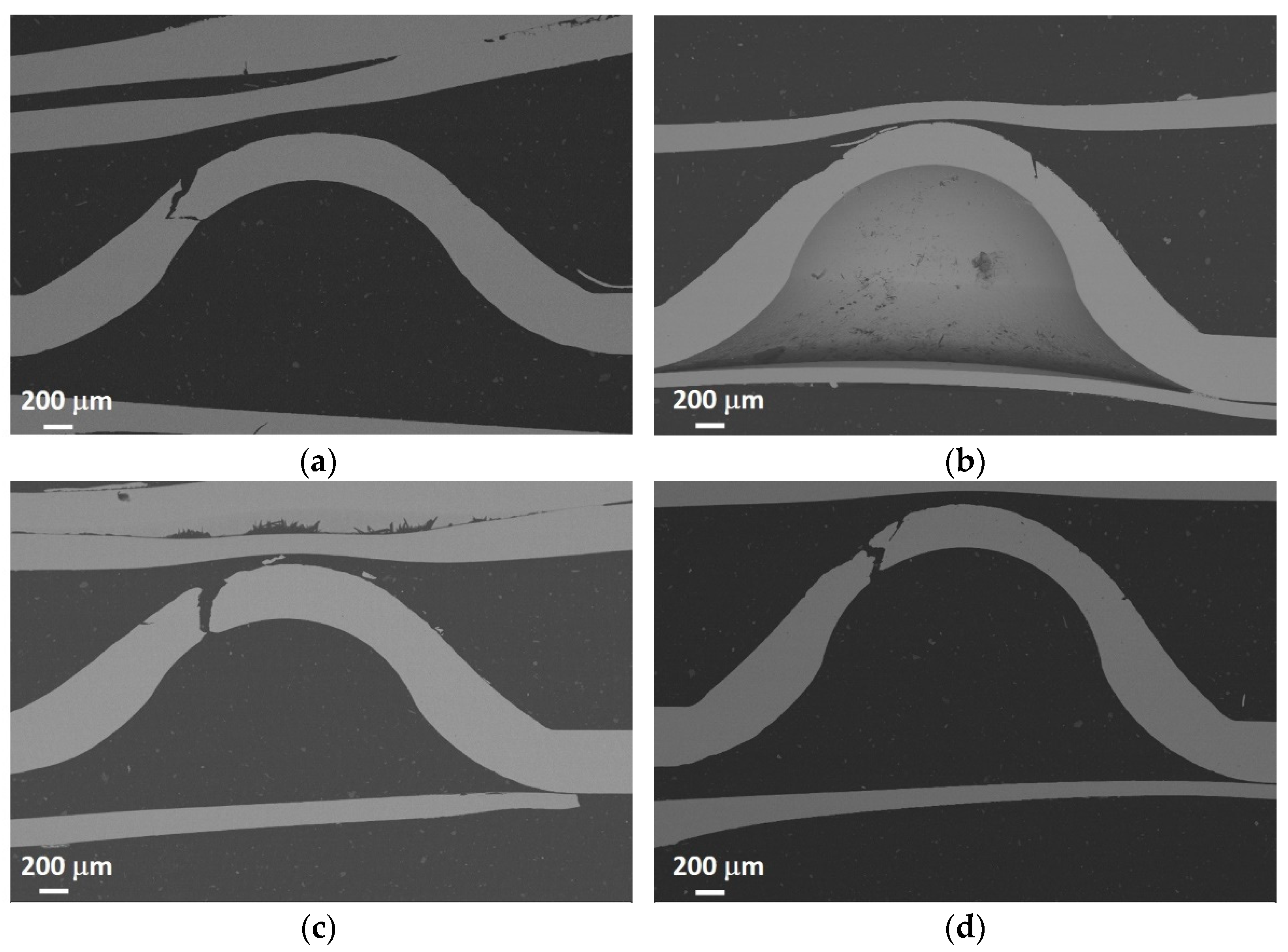 Applsci 14 06420 g011 Applsci 14 06420 g011