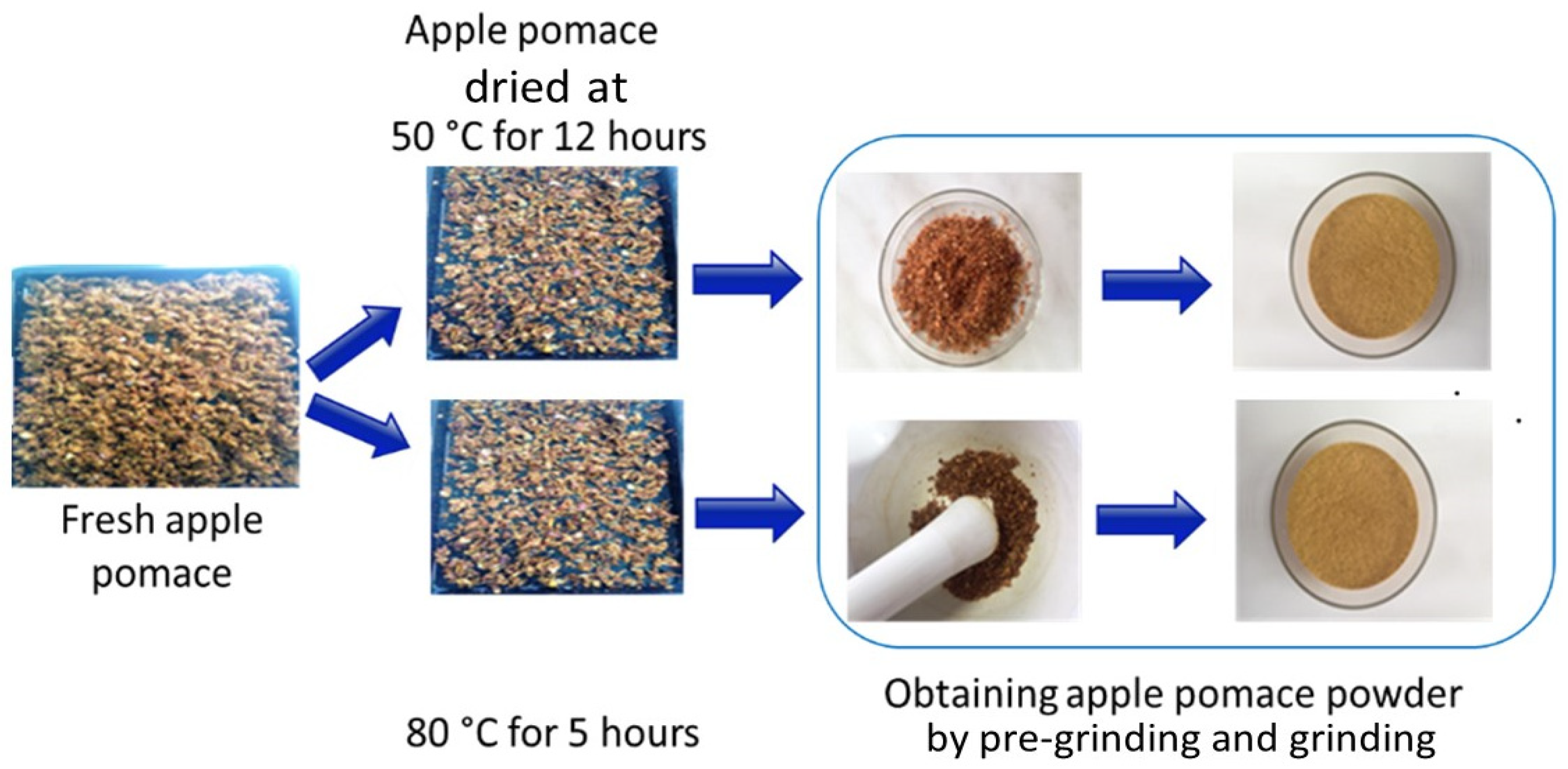 Applsci 14 06439 g001