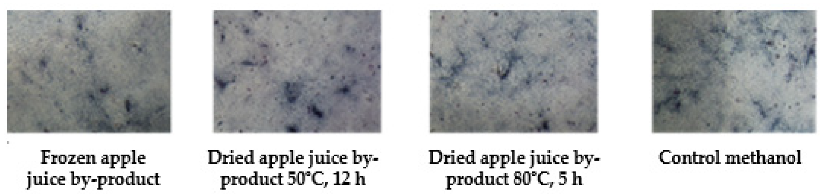 Applsci 14 06439 g003