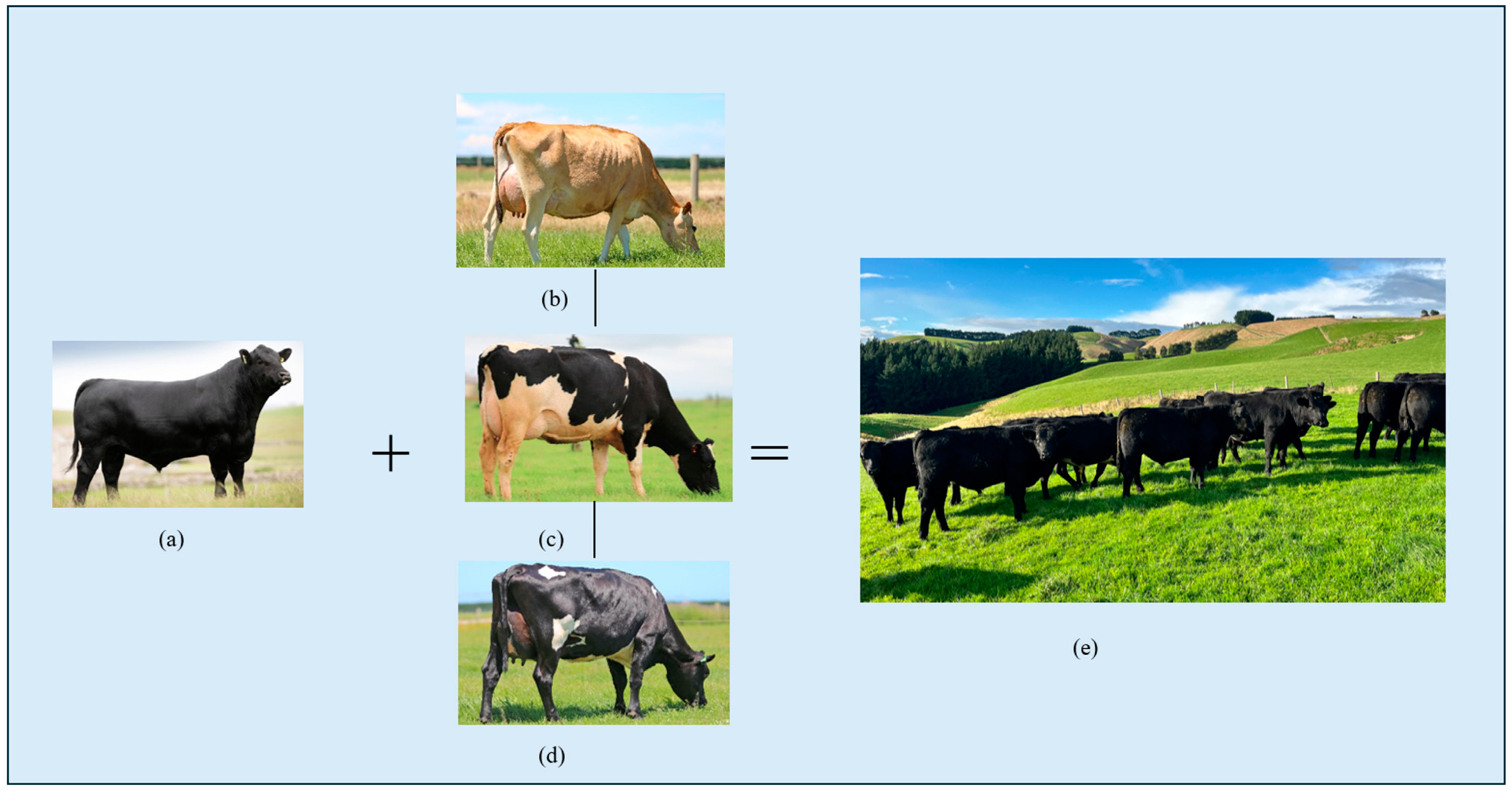 Applsci 14 06440 g001