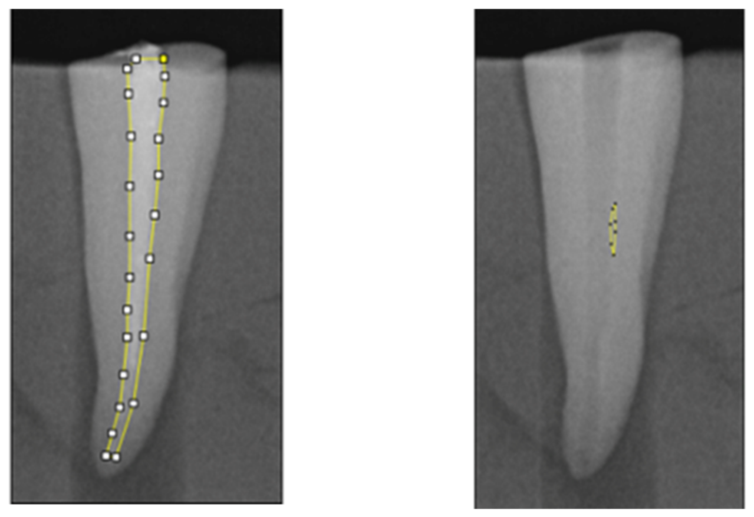 Applsci 14 06444 g002