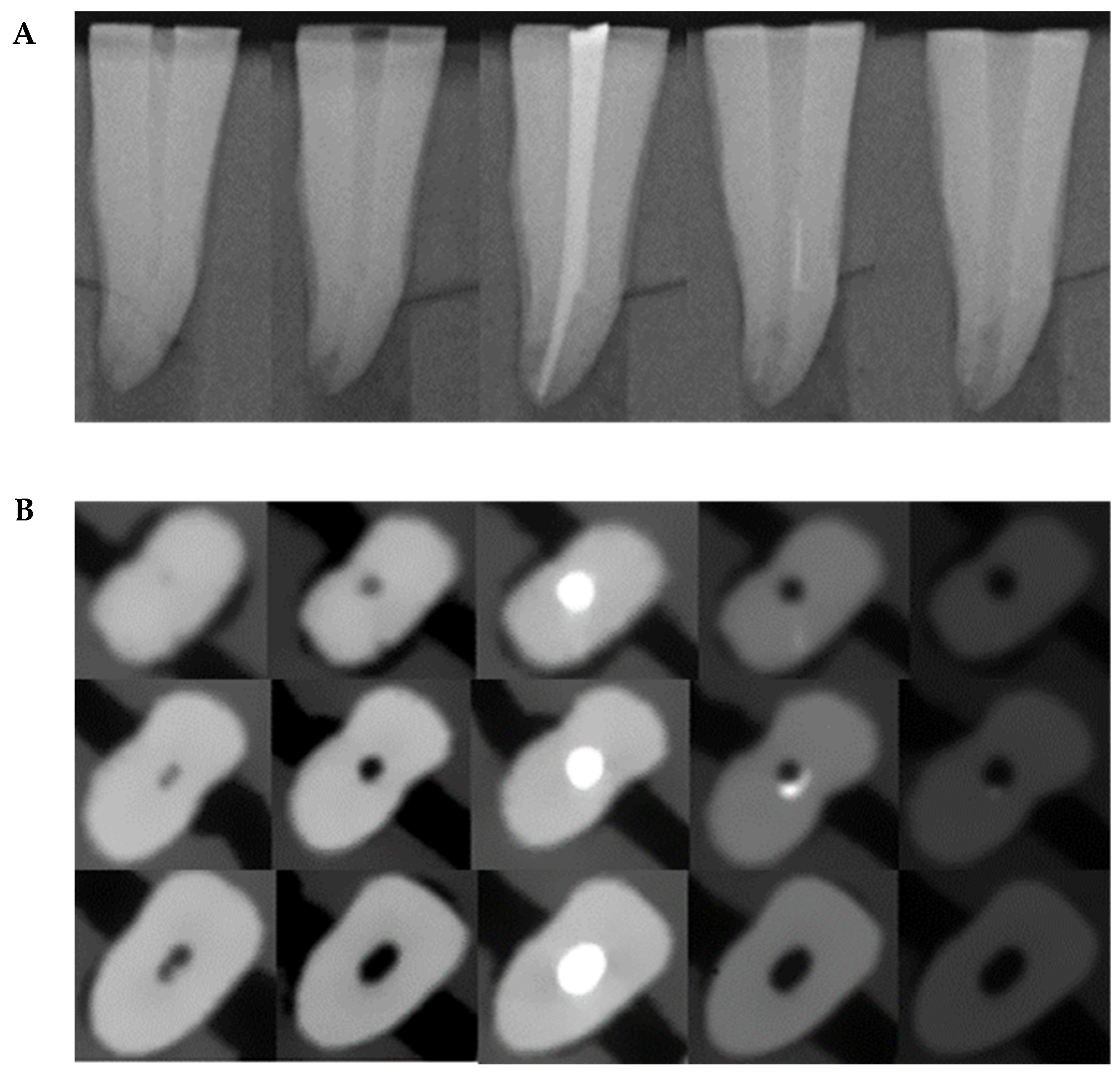 Applsci 14 06444 g008