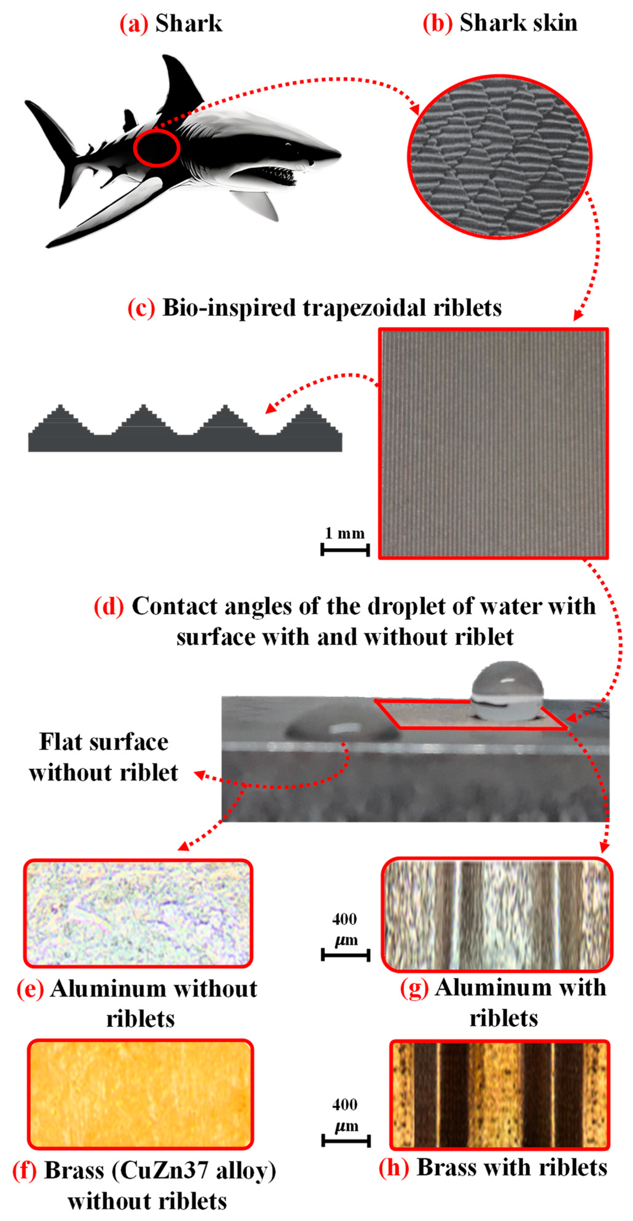 Applsci 14 06452 g002